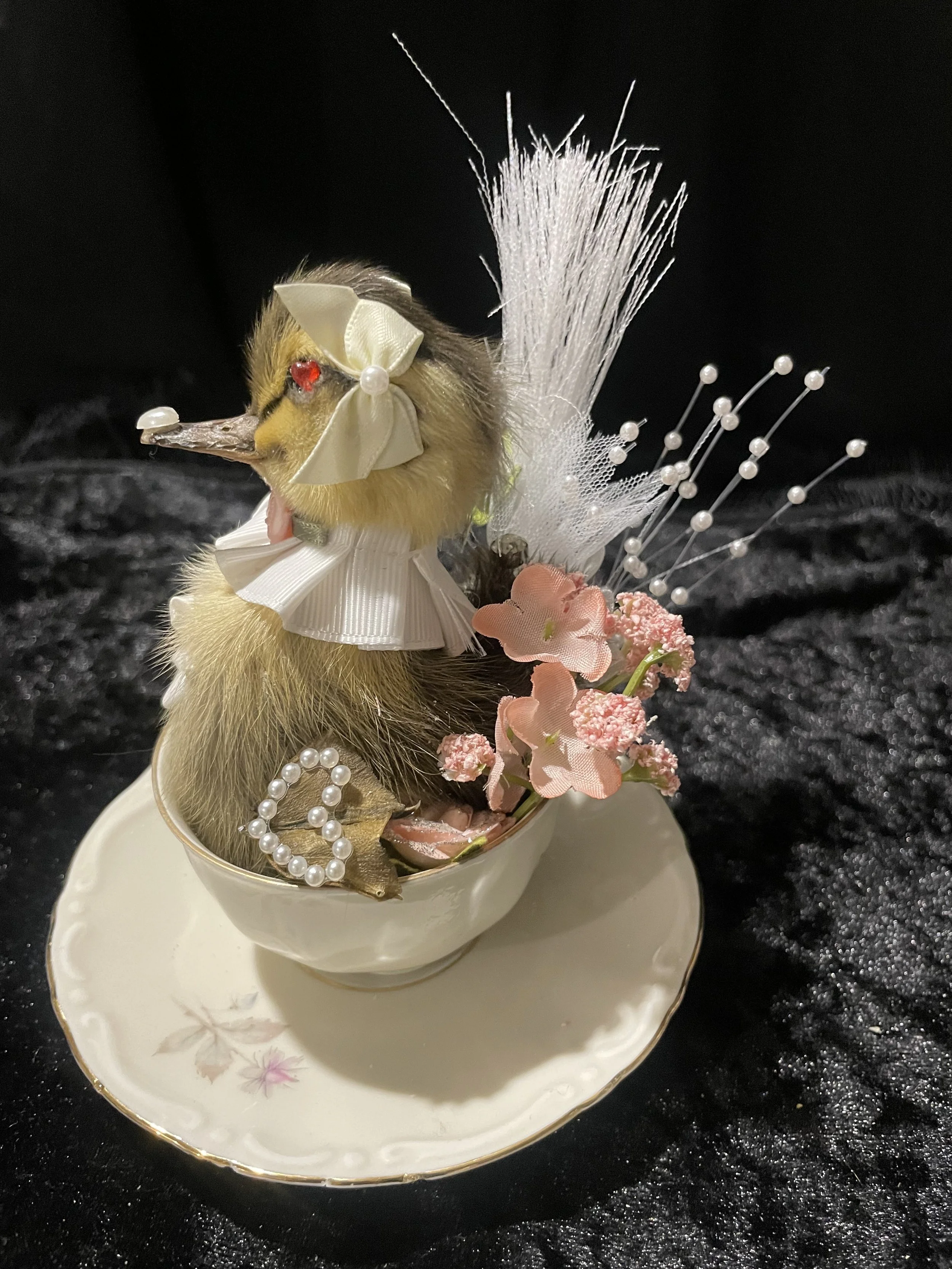 EchoEcho_11b_White pearl Hearted Tea Cup Duckling.jpeg