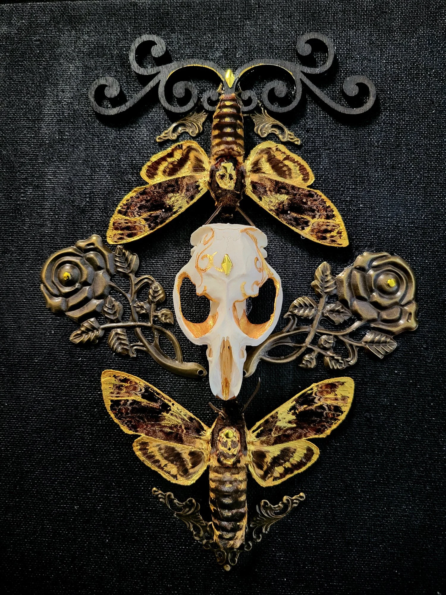 Deathhead Moths & Skull