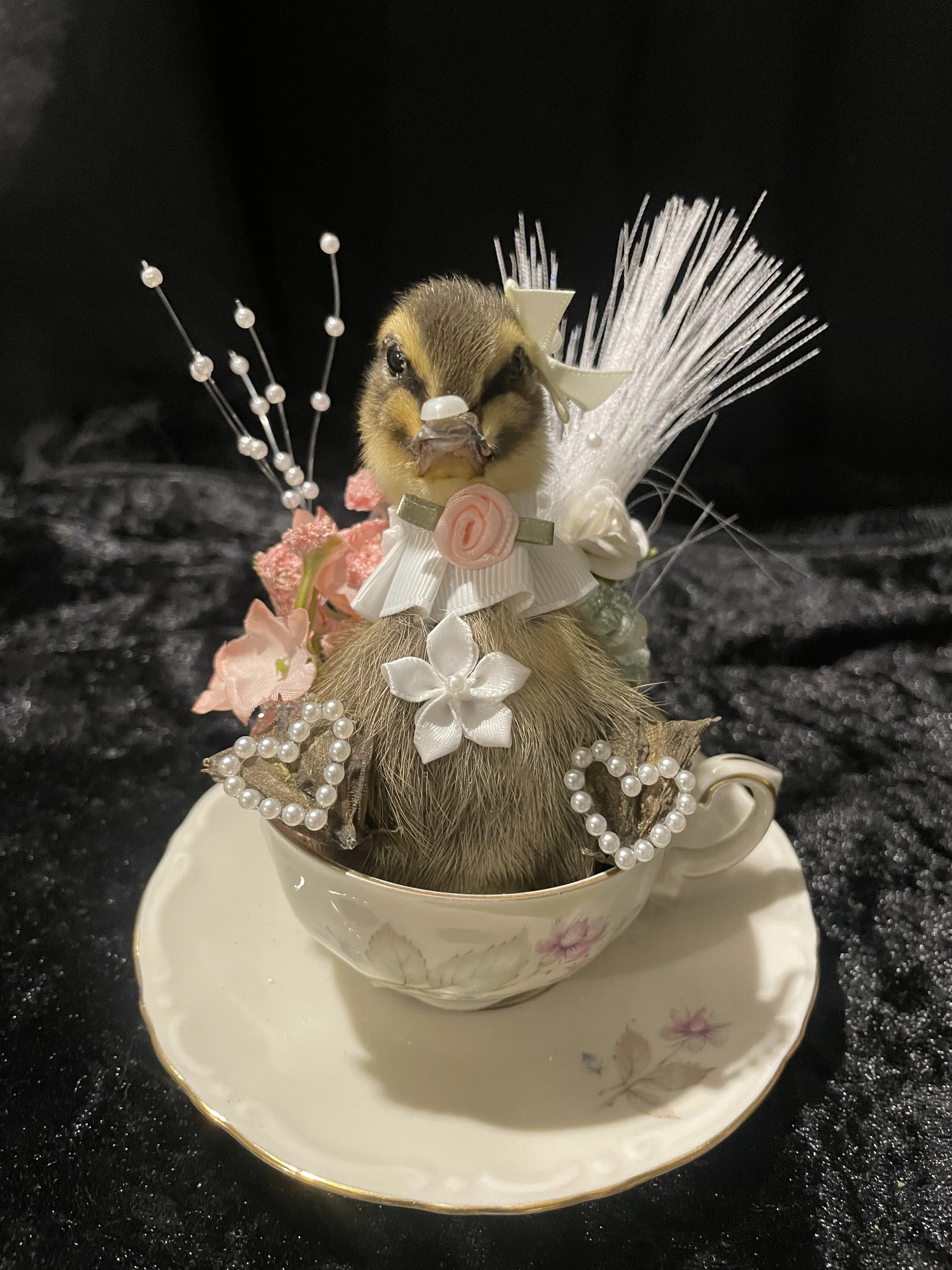 EchoEcho_11c_White pearl Hearted Tea Cup Duckling.jpeg