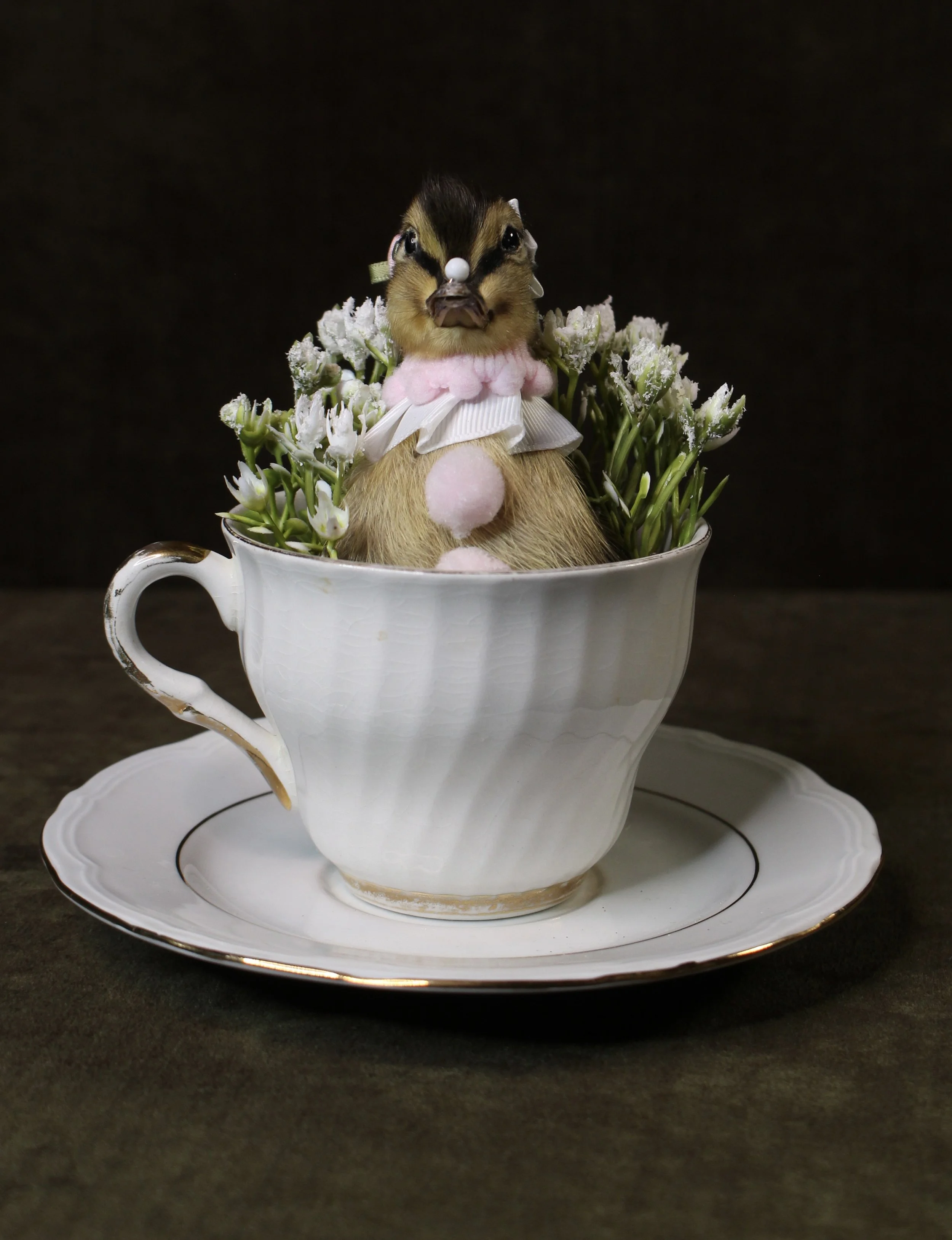 EchoEcho_7b_Pink Clown Tea Cup Duckling.jpeg