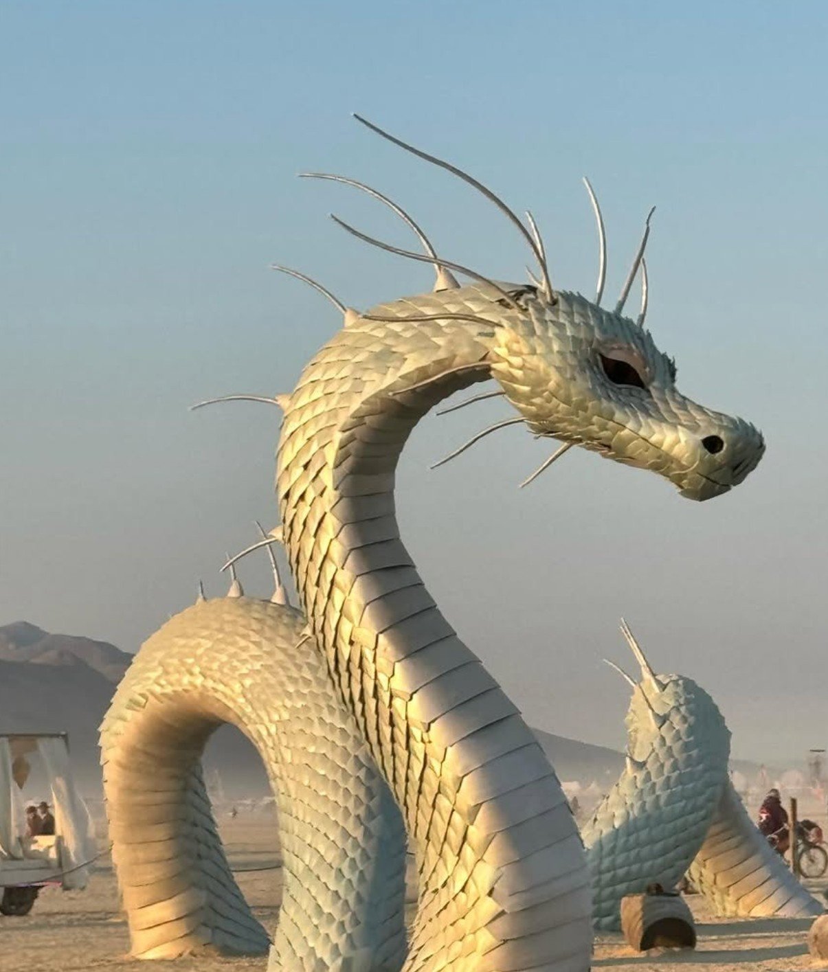 Naga & The Captainess