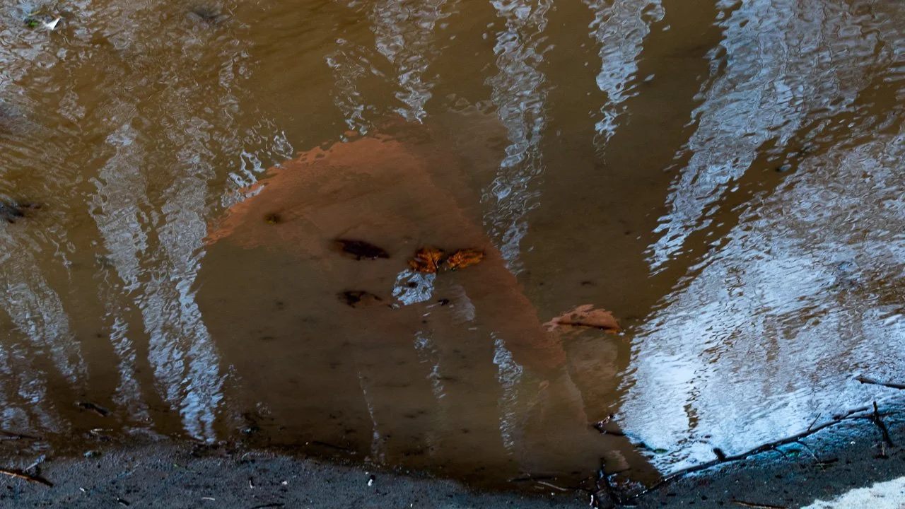 reflections-20.jpg