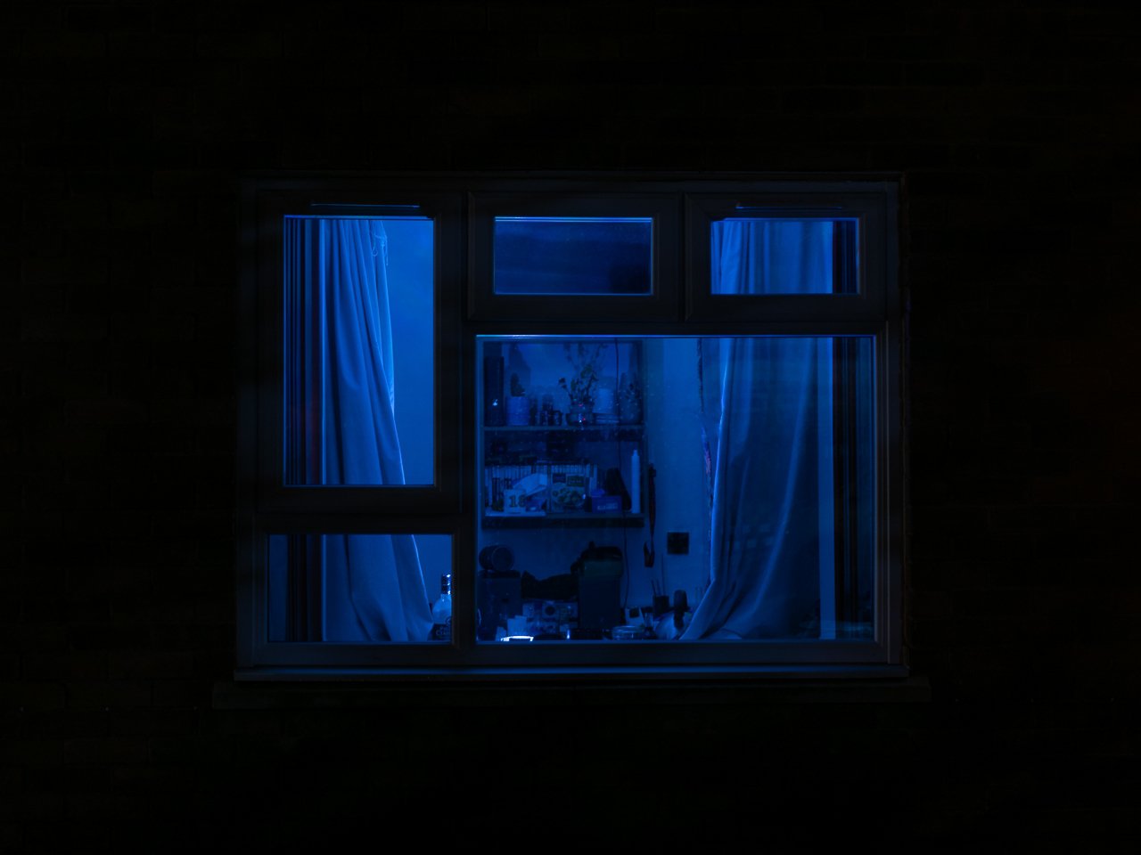 nocturnal-11.jpg