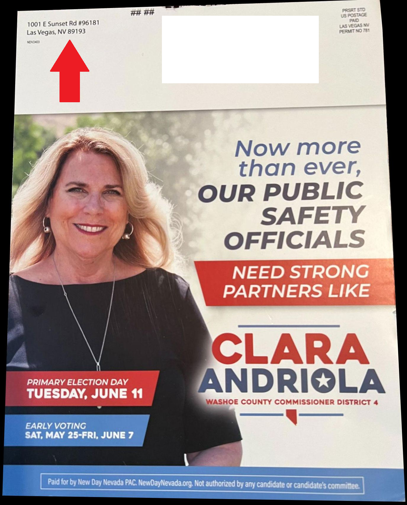 picon flyer clara.png