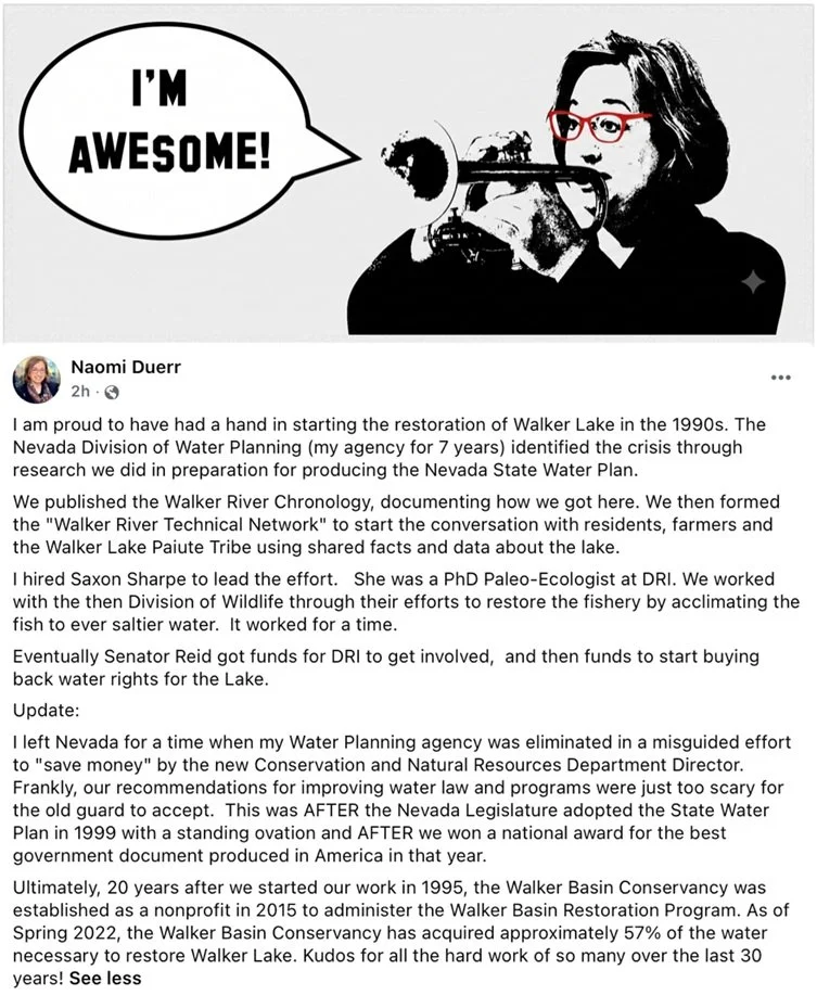 Blame Naomi …