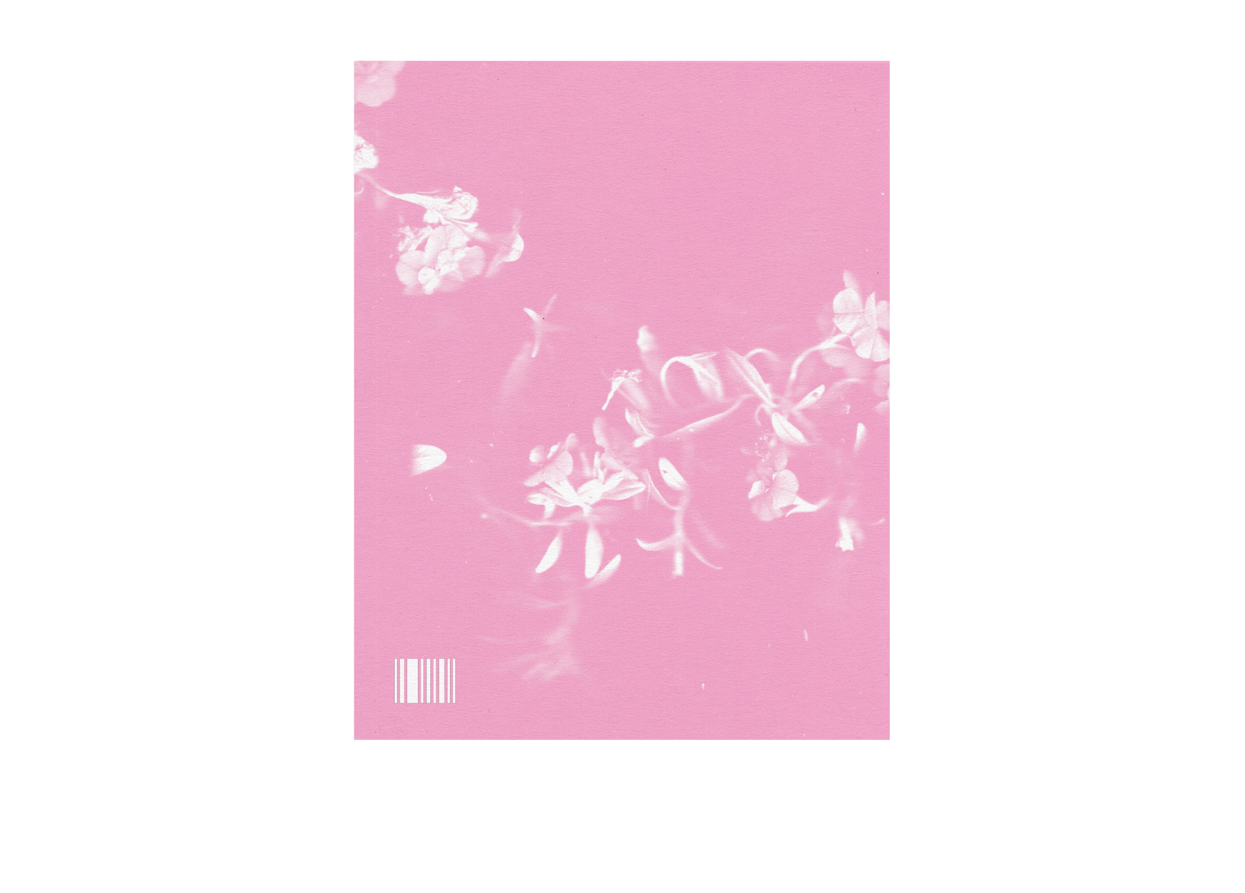 back.png