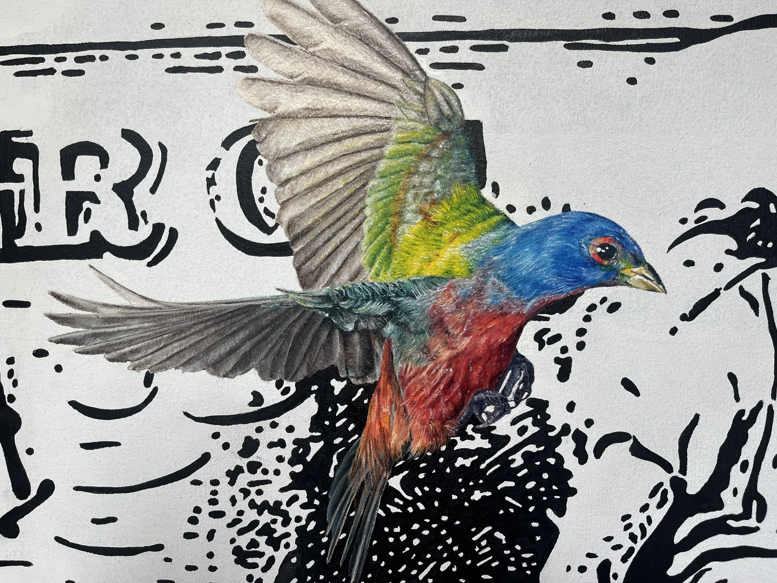 Painted Bunting.jpeg