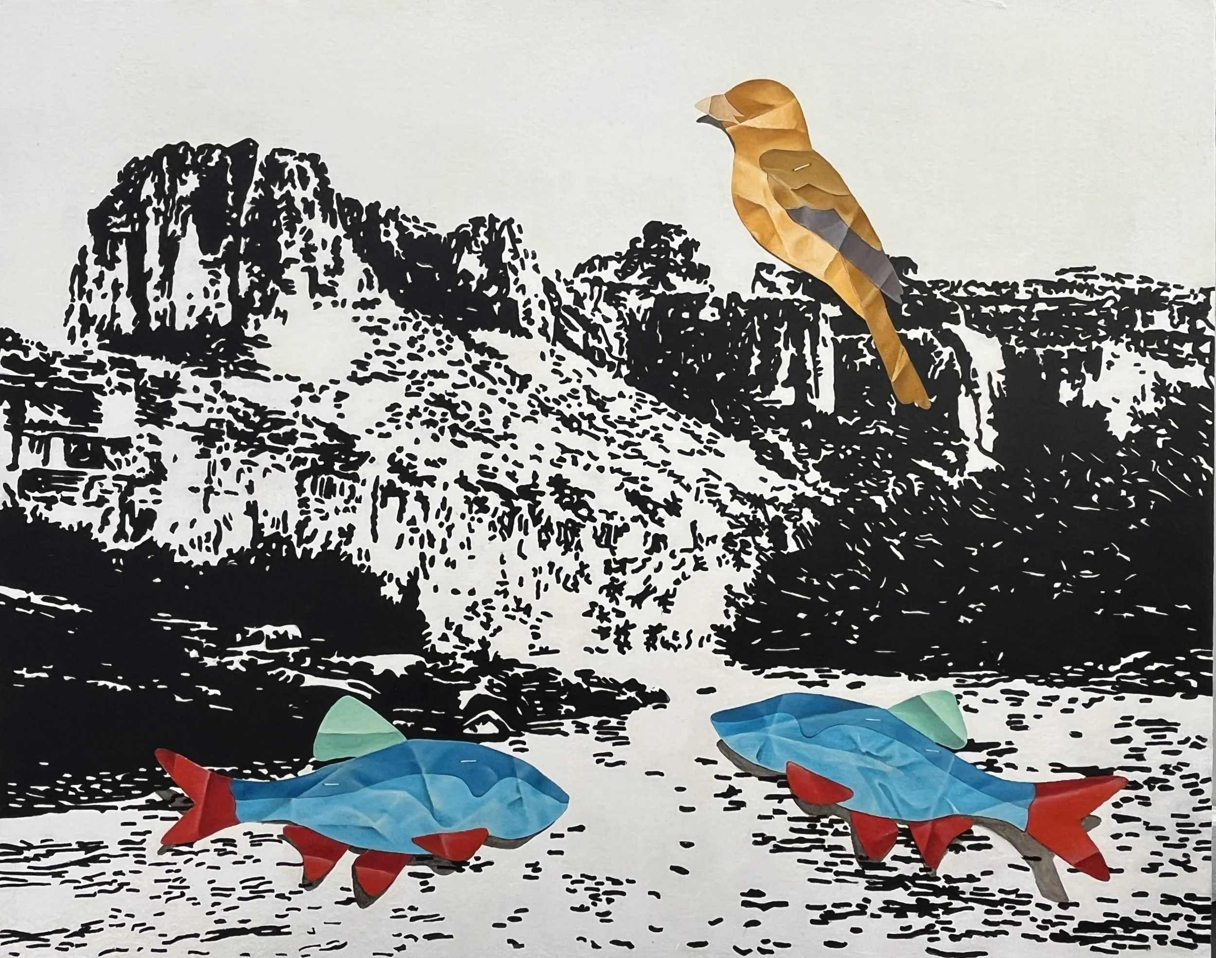 Rio Grande, 2025
