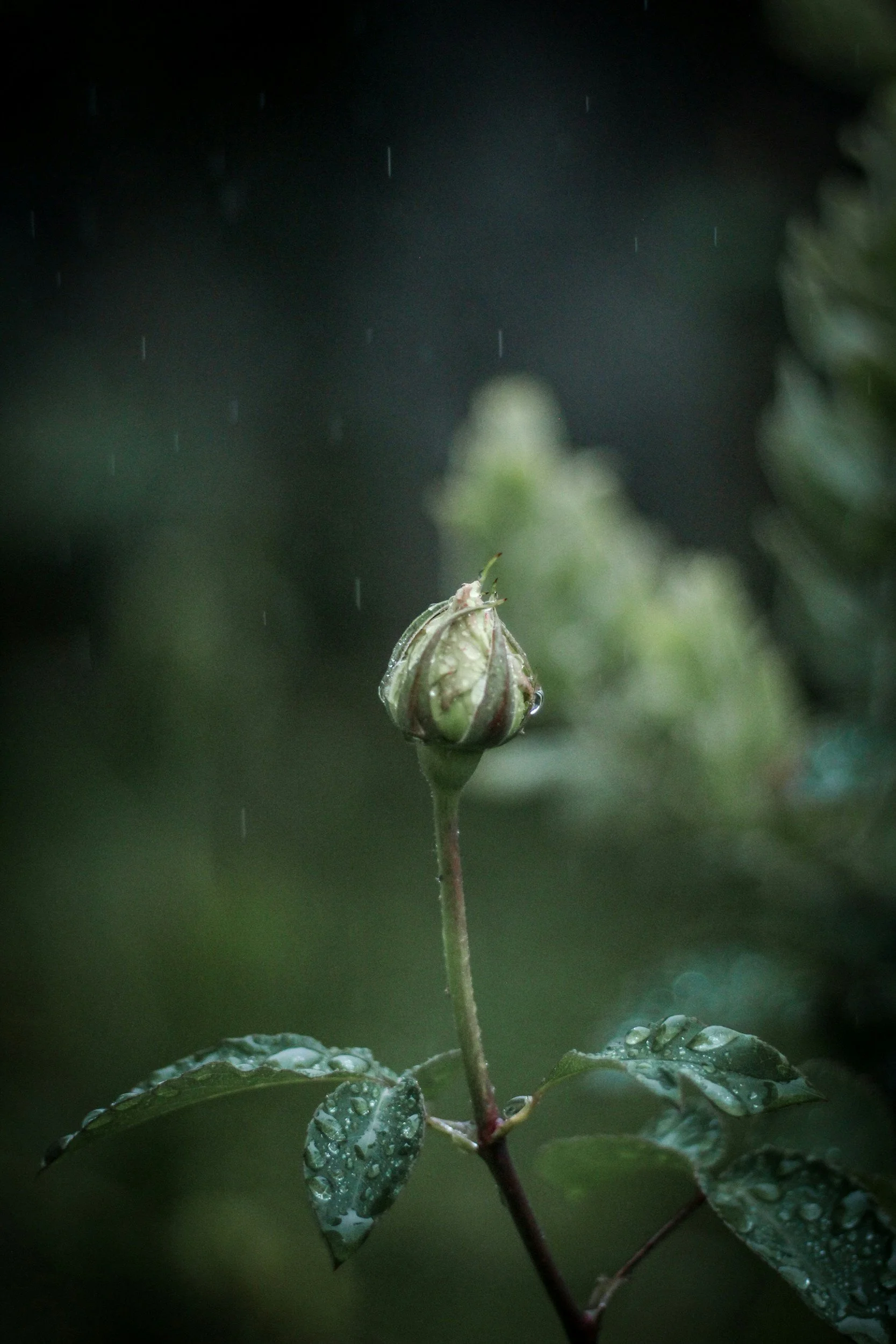 Why spring feels harder than it looks 