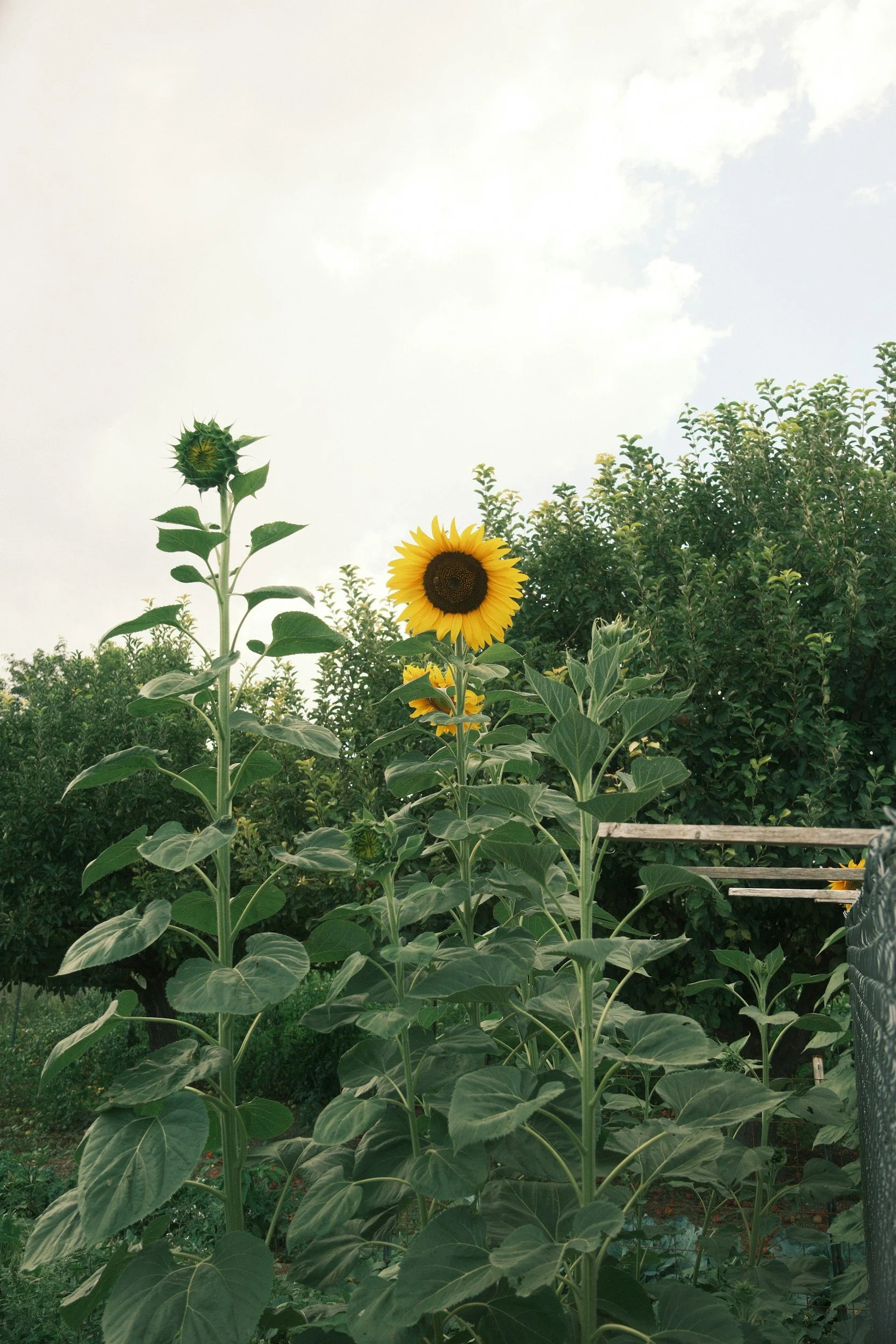 Why late summer is a natural moment to check in with your hormones