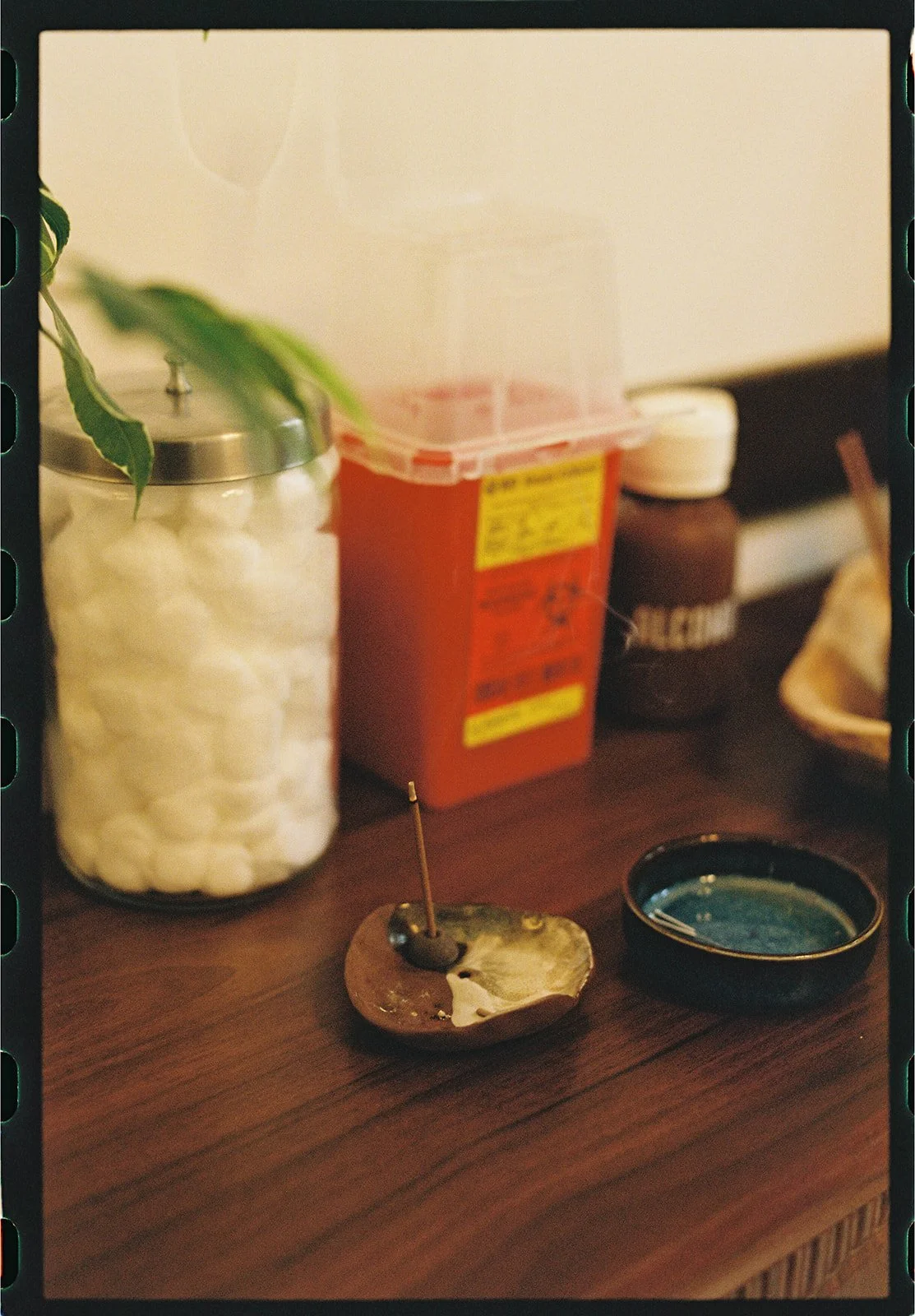 Gursha-Perennial Health-294850.jpg