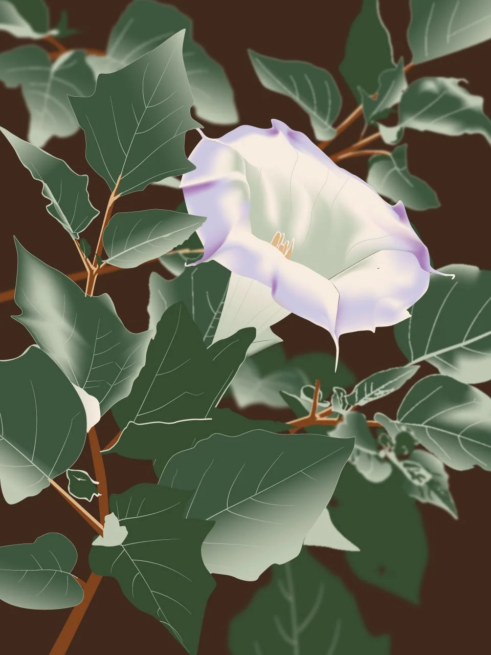 A white flower among leaves