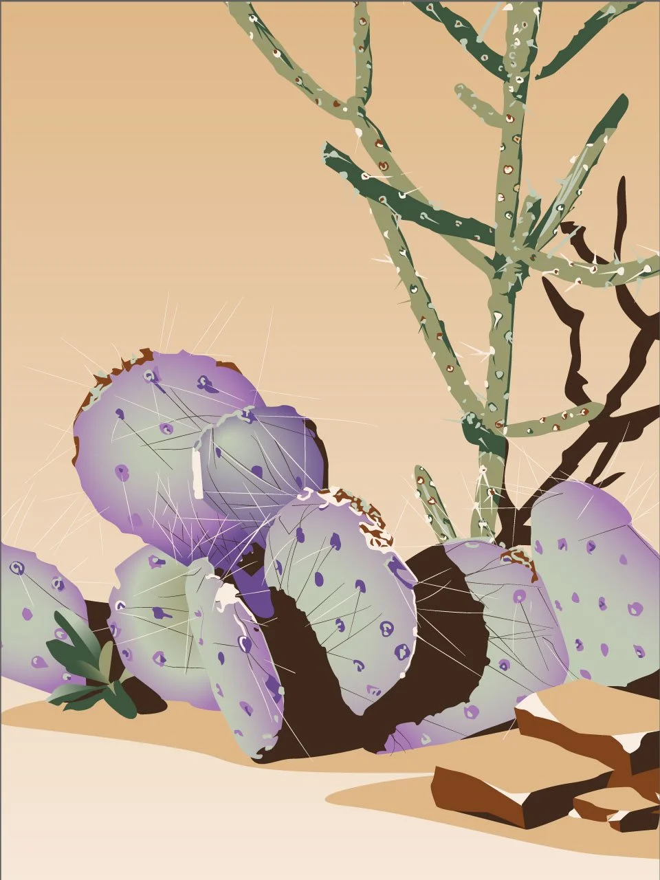Cacti3_HighRes.jpg