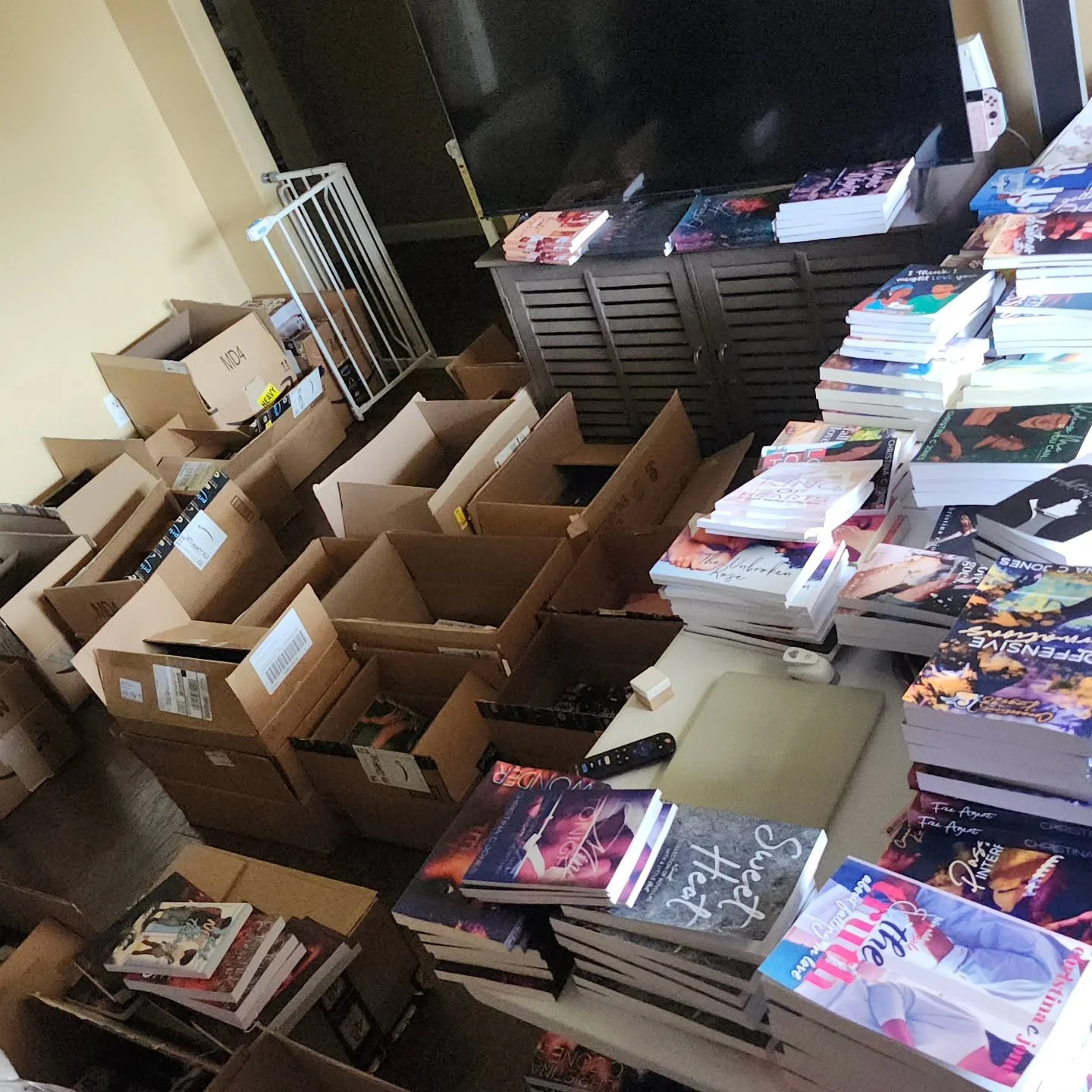 I can't call you back right now girl sorry this is the current state of my living room, front porch, and garage.