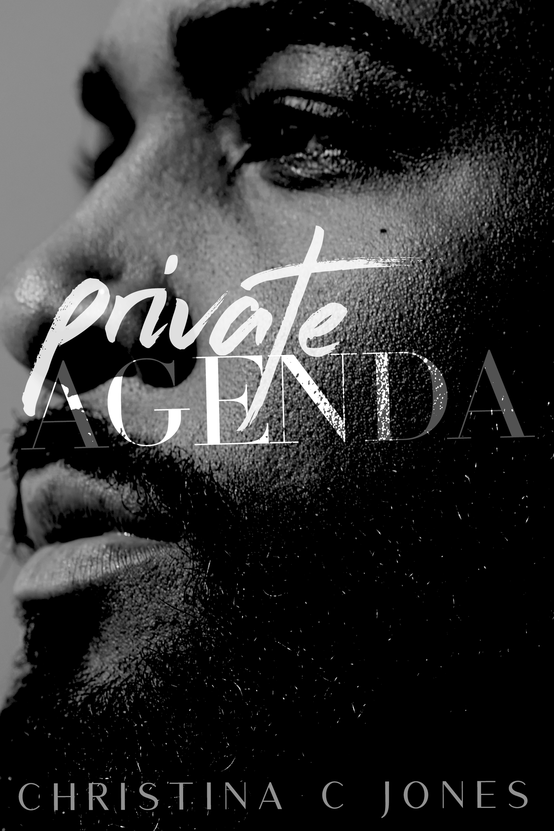  
 BK099 
 Heights Chronicles 
 Contemporary 
 Blackwood | Mahogany Heights 
 Enemies to Lovers 
 High 
 2024 

 Private Agenda 
 Heights Chronicles · Book 1 
 Duke &amp; Camille 