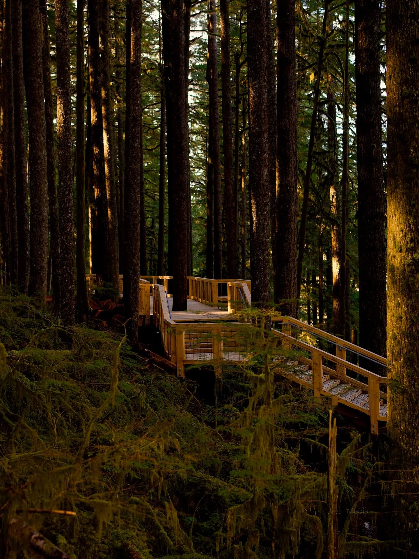#hiking #sonyalpha #naturephotography #traveling #canada