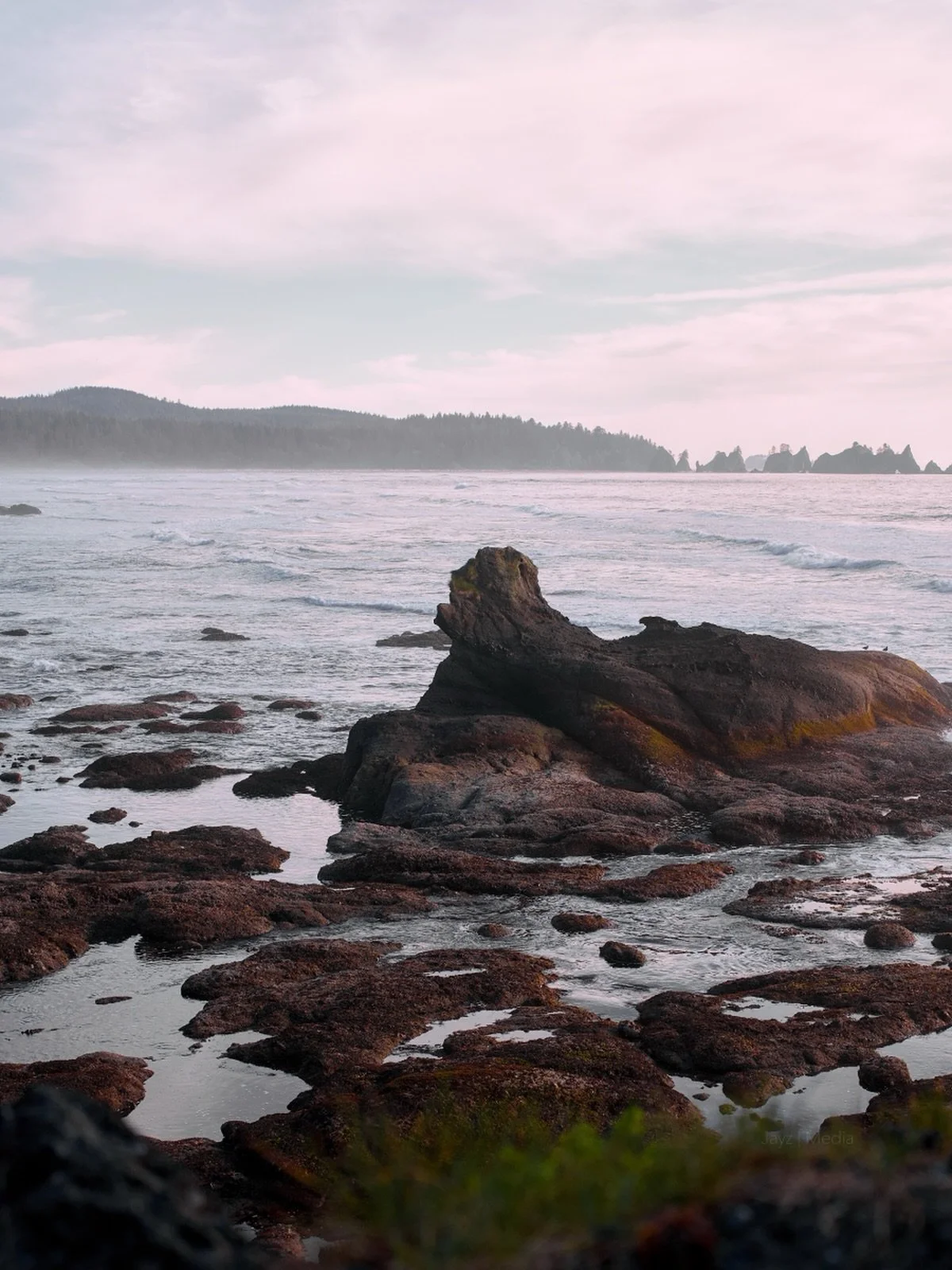 #explorewa #pnwdiscovered #sonyalpha #nature #pnwexplored