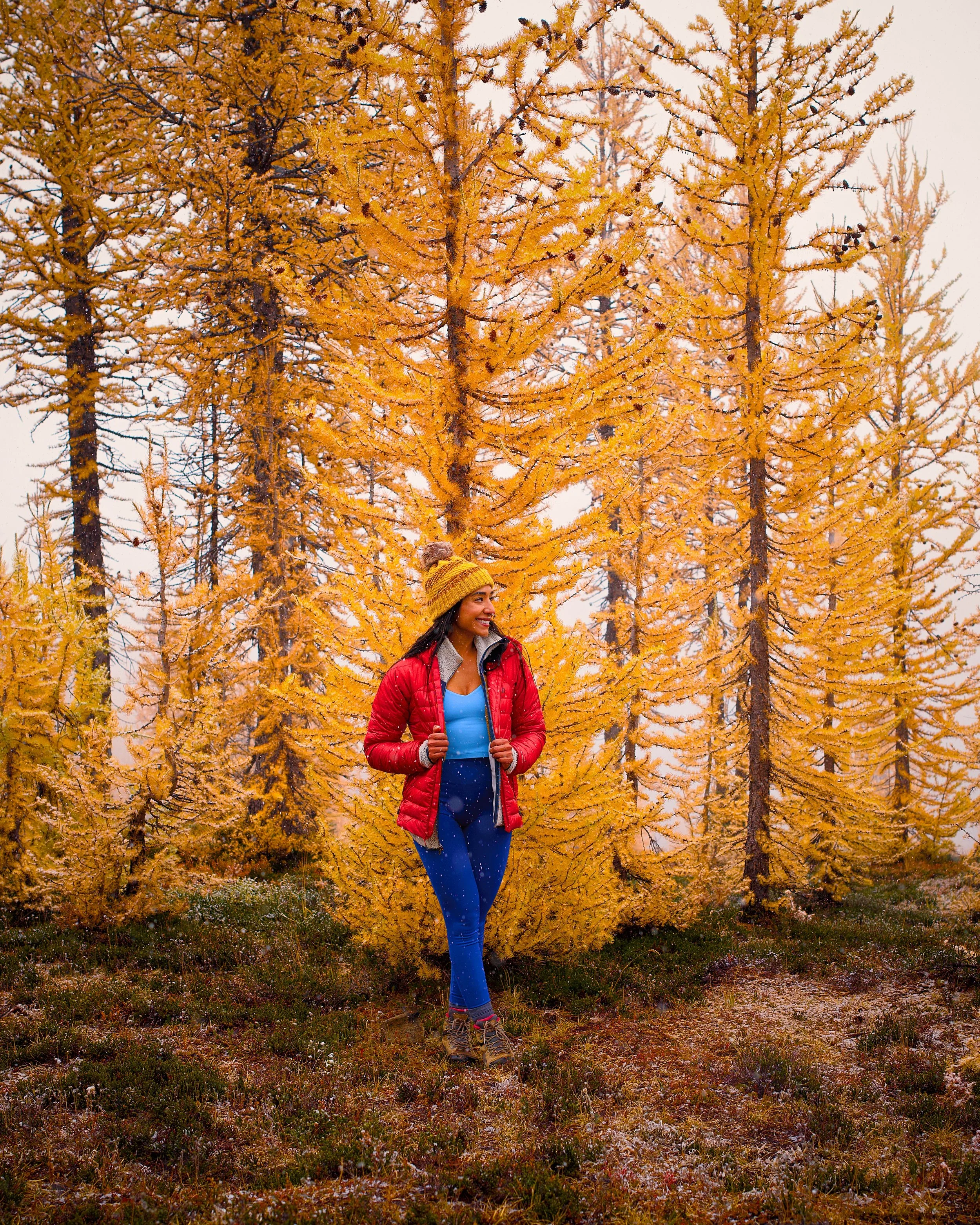 A woman in a yellow knit hat, red jacket, and blue leggings hiking in a forest of bright yellow trees during autumn.