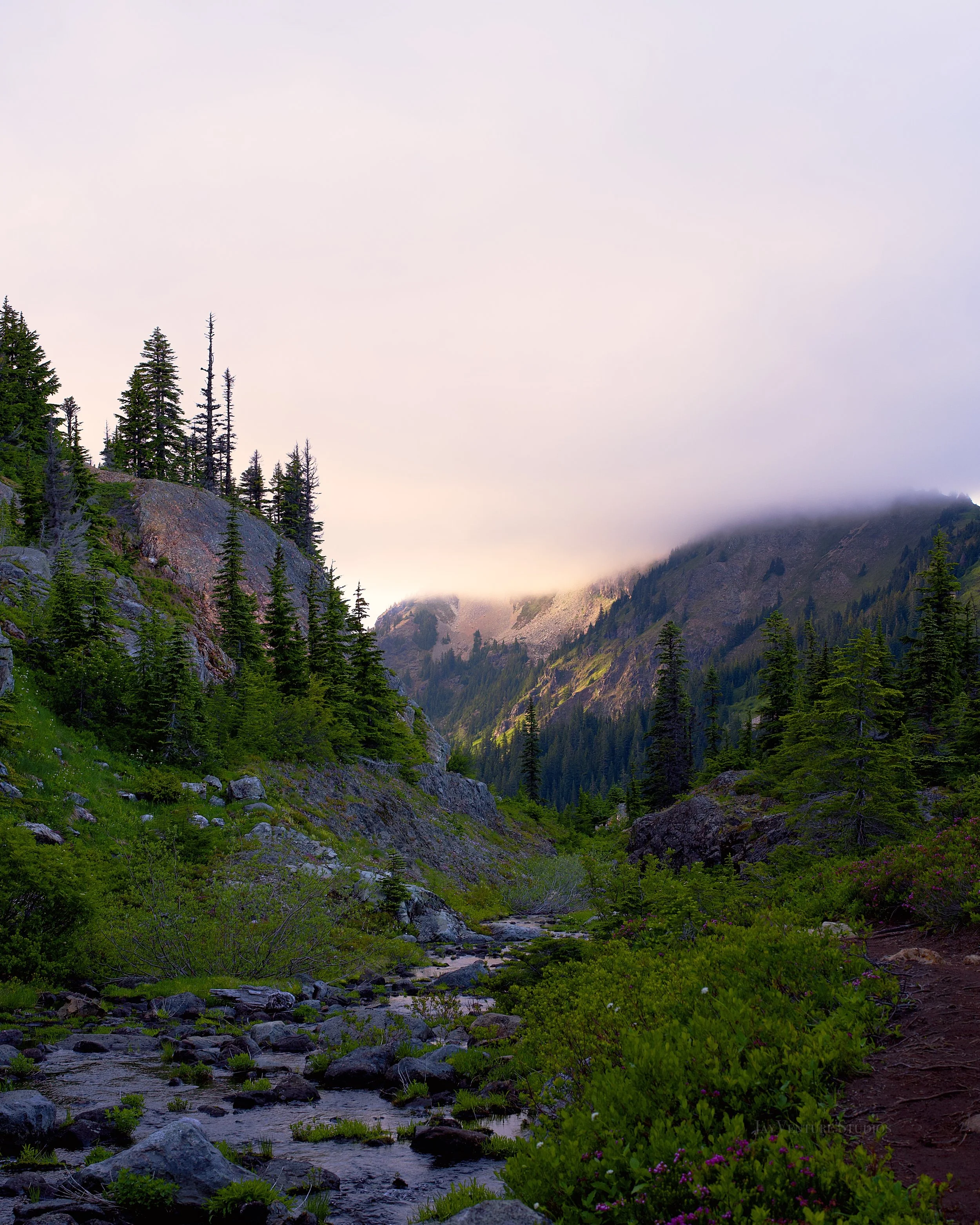 A scenic view of a mountainous landscape with lush green trees, rocky terrain, and a small stream running through the foreground. Mist or fog partially covers the mountain slopes in the distance, and the sky appears overcast.