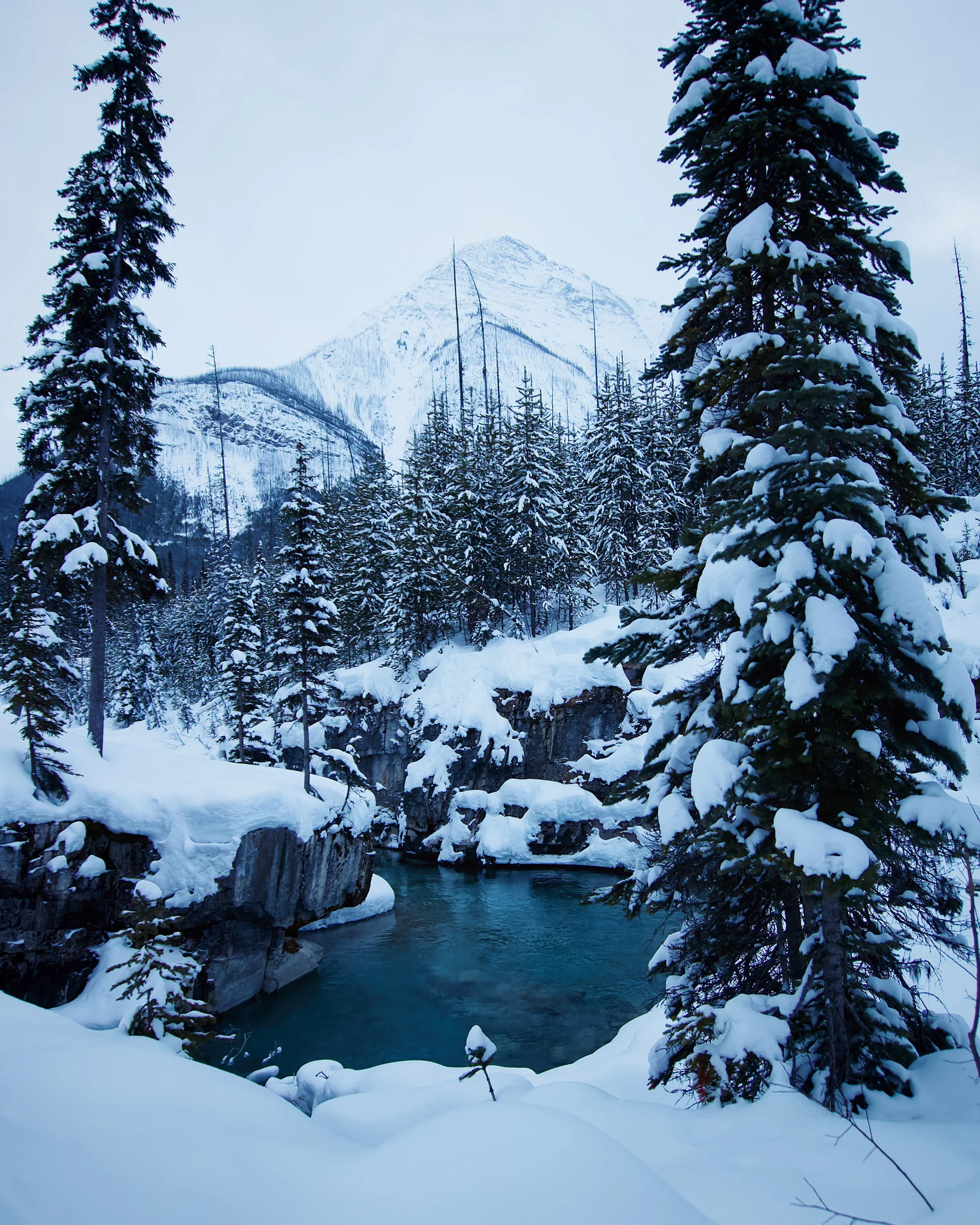 Snow-covered trees and rocks surrounding a river, with snow-capped mountain in the background.