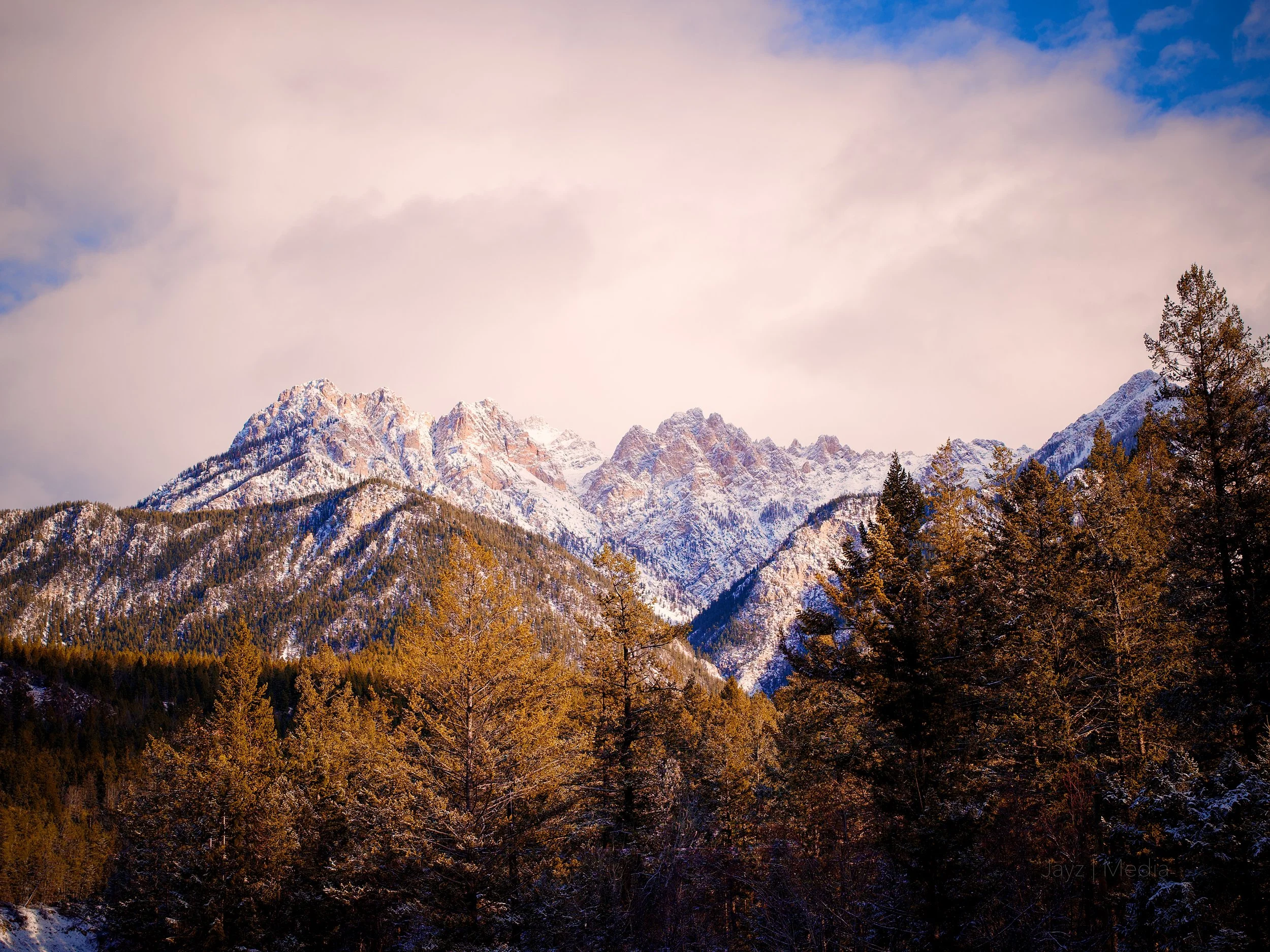 Snow-capped mountains in the background with a forest of evergreen trees in the foreground under a partly cloudy sky.
