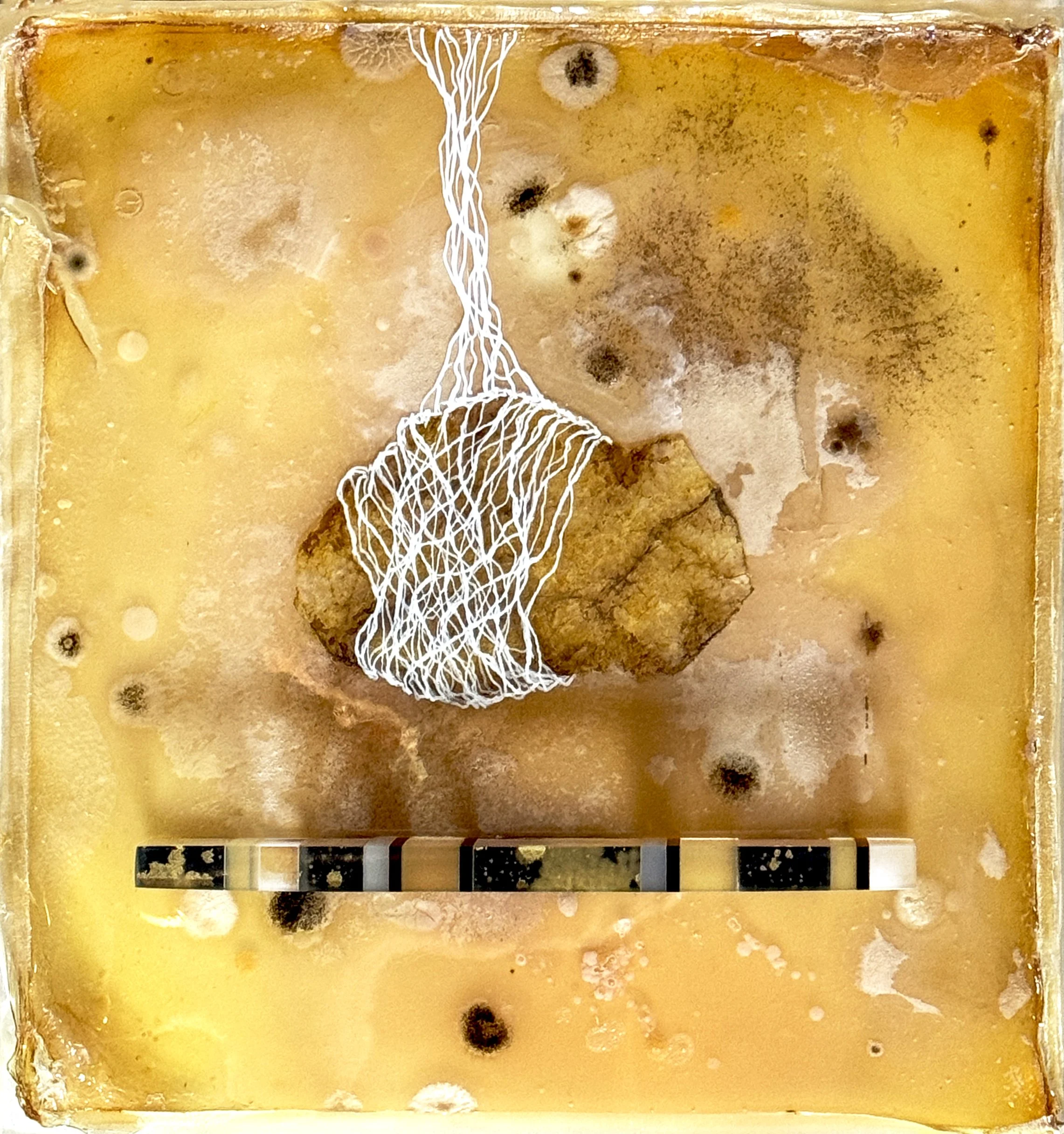 Bound To Be-Held in Suspension, 2025 agar culture, resins, waxed paper, translucent inks, ink drawing
10"x10"x1.5"