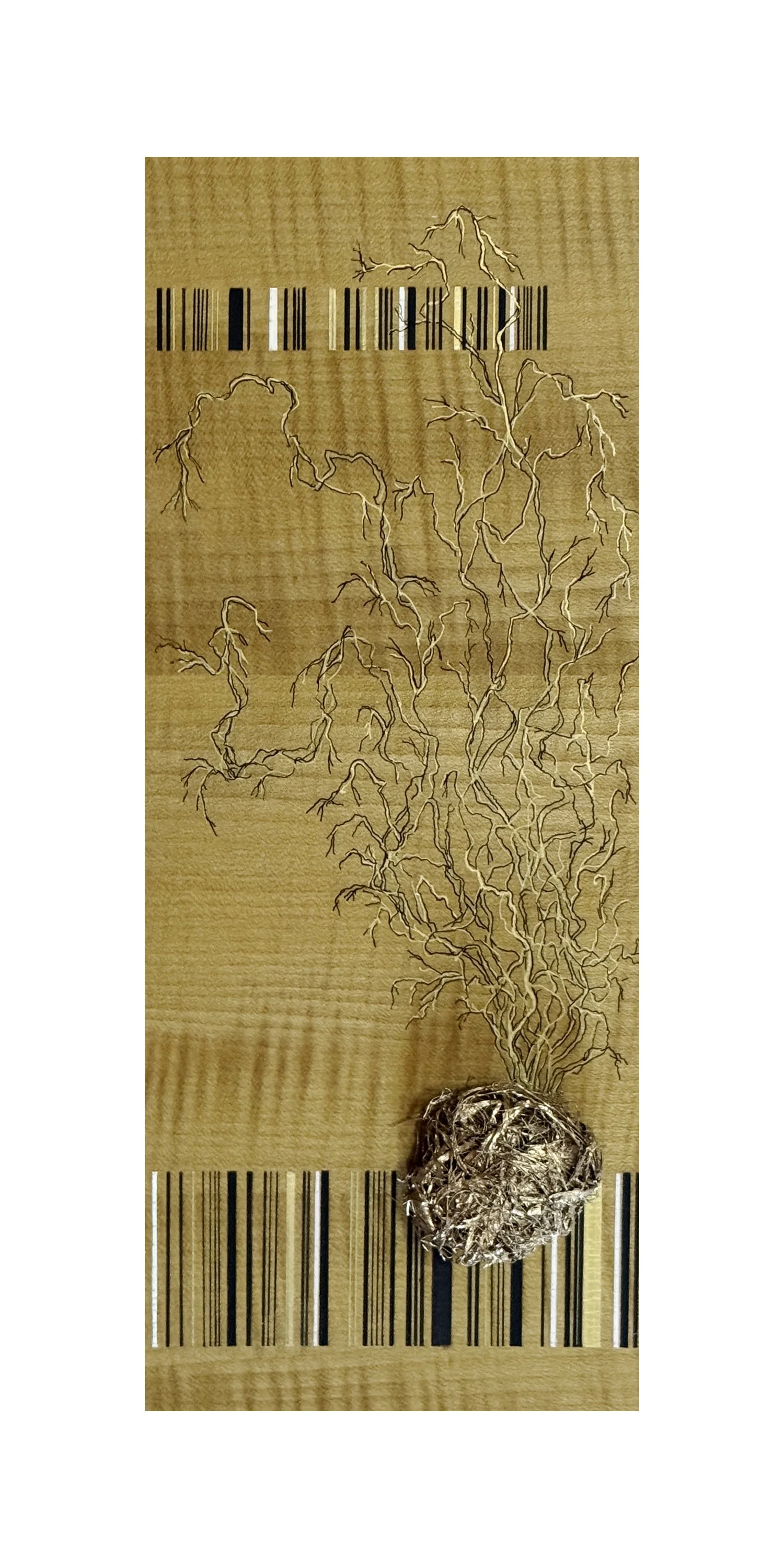 Rooted in Gold, 2025 metallic inks, gilded root ball on stained wood panel
7"x18"x1.5"