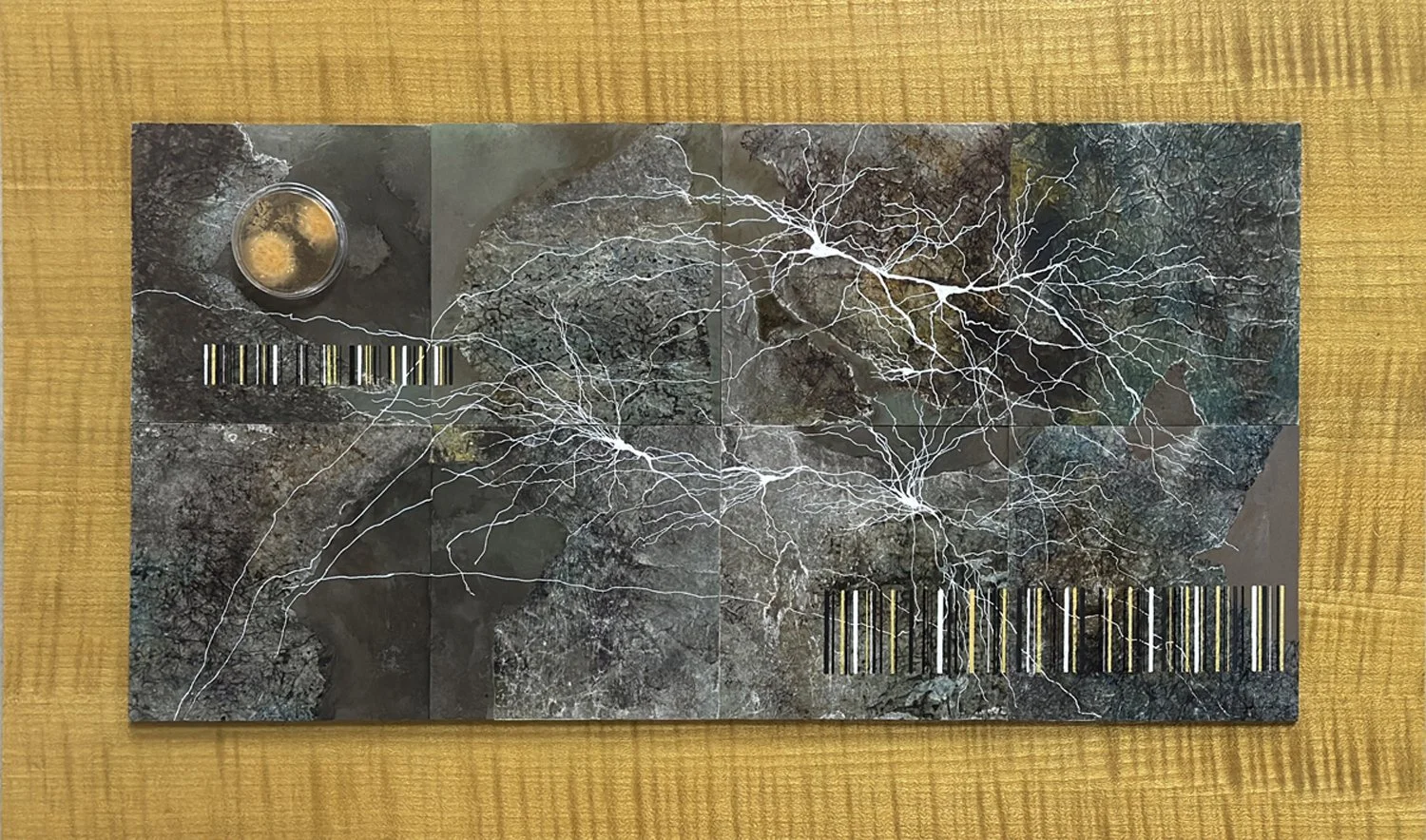 Networked Terrain, 2025 inks, paint marker, waxed paper, agar culture petri on board 17"x30"x1"