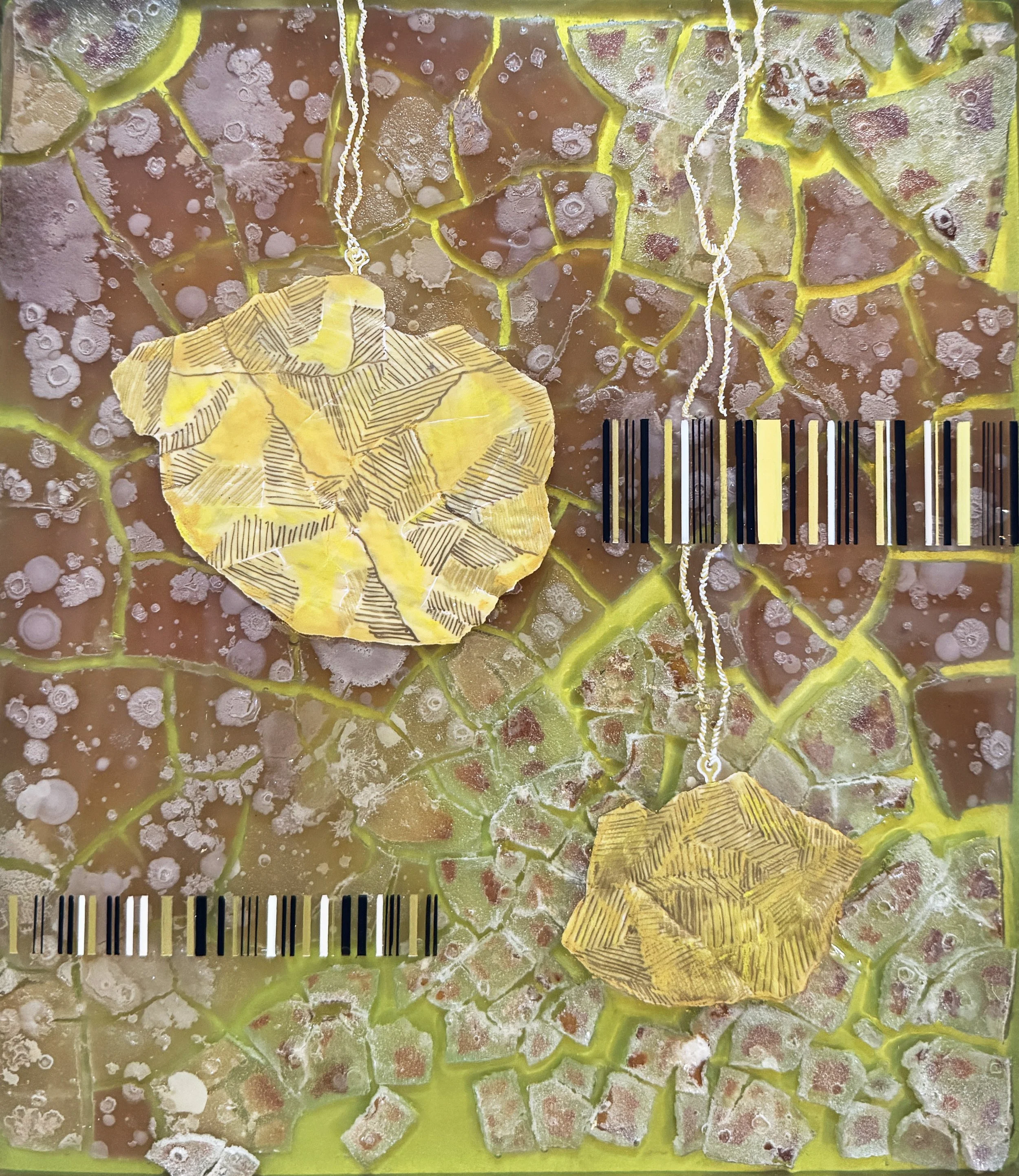 Fractured Fools Gold, 2025 agar culture, resin, vellum, translucent and metallic inks
10.5"x12"x5"