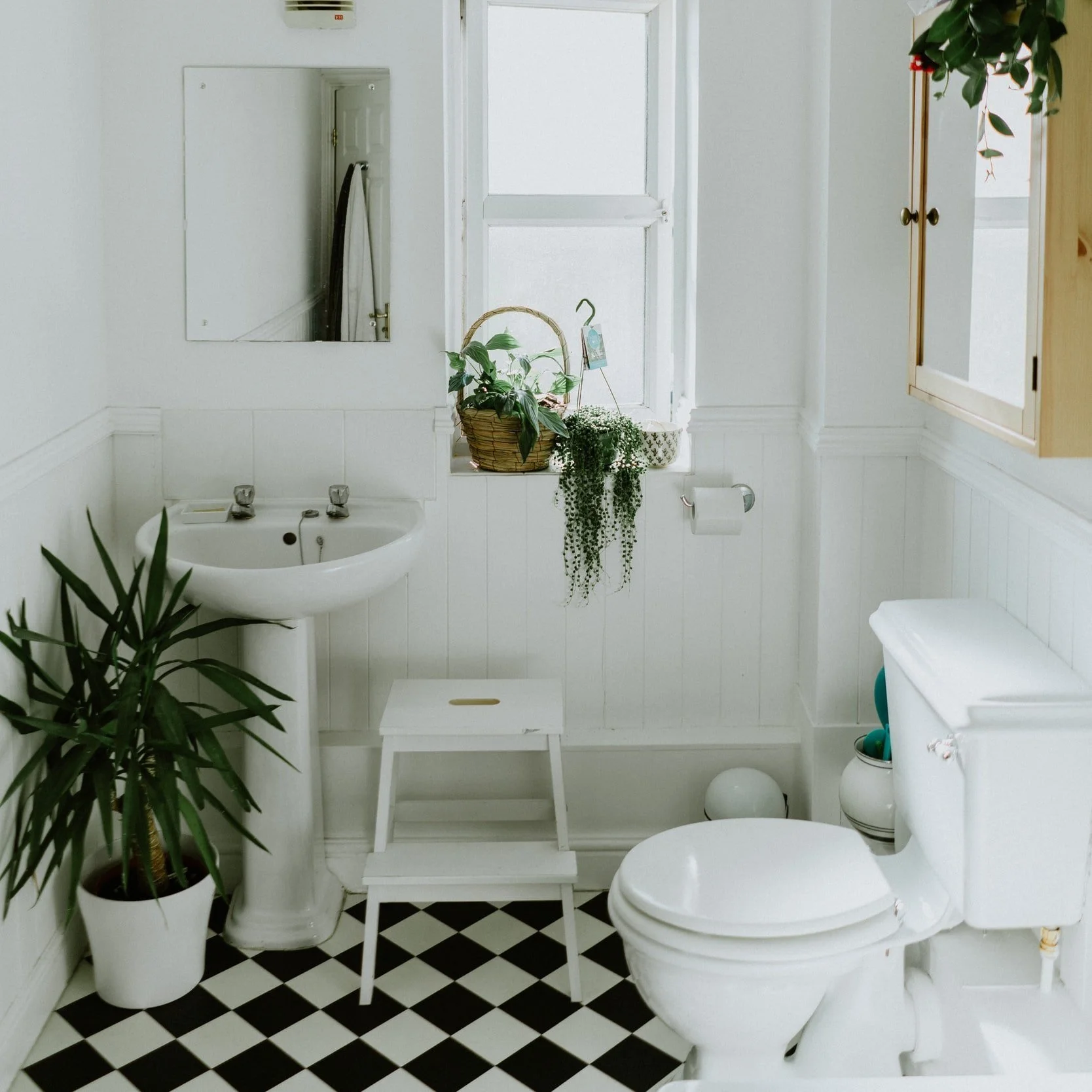 Top Reasons for a Whistling Toilet