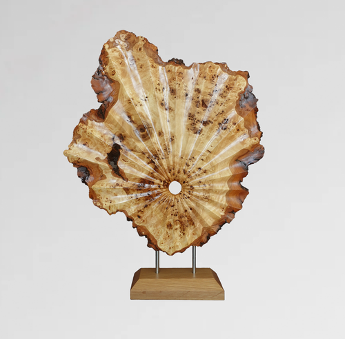 Inner Drift, mappa burl sculpture with ridges radiating from a central hollow