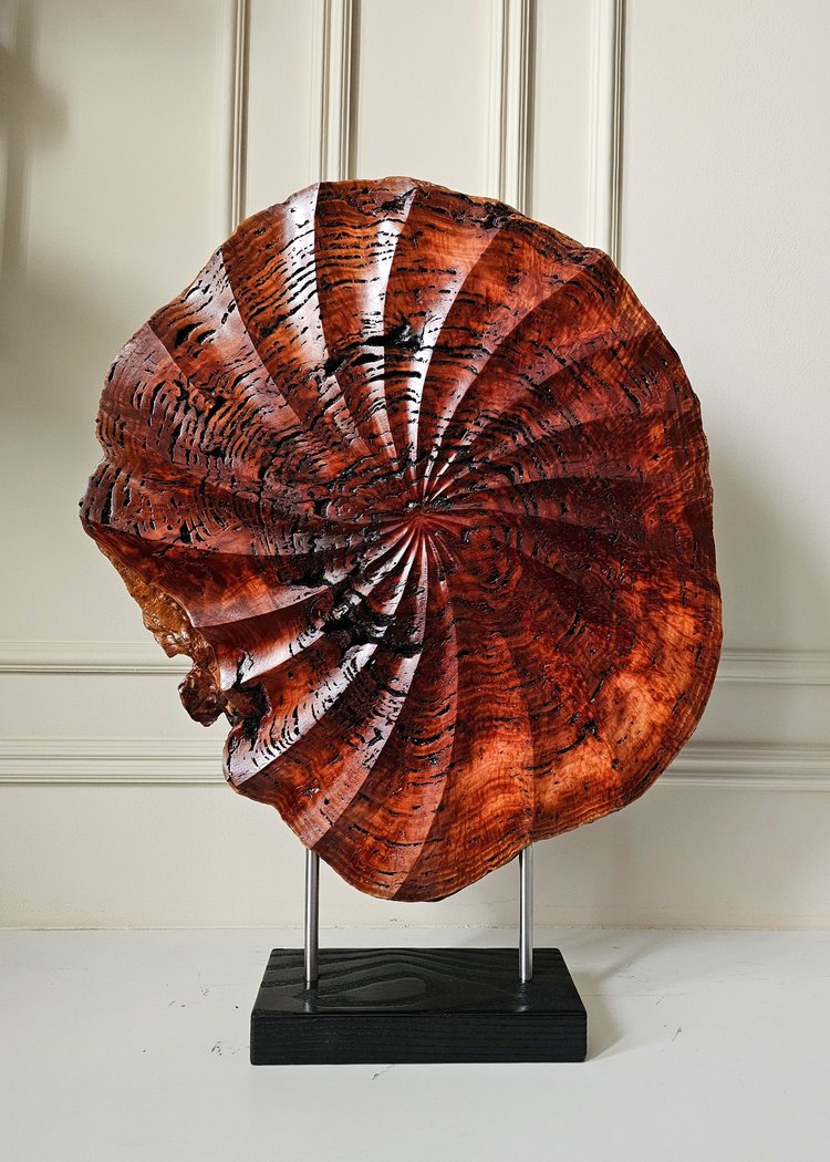 Ember, a carved red eucalyptus burl sculpture