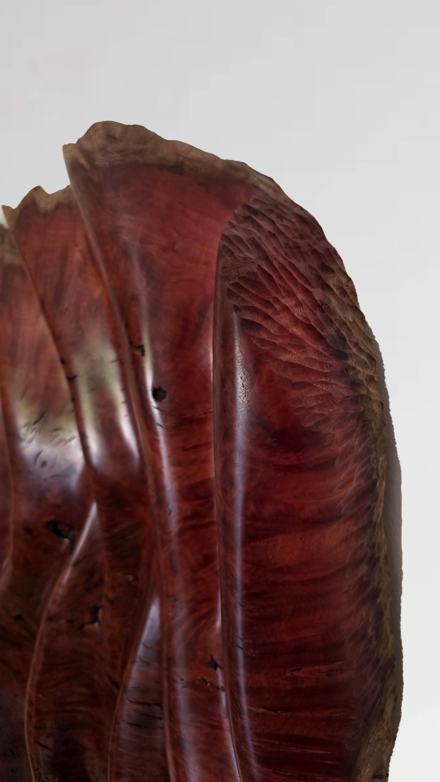 Kantju – Australian jarrah burl sculpture by Pav Patel, detail