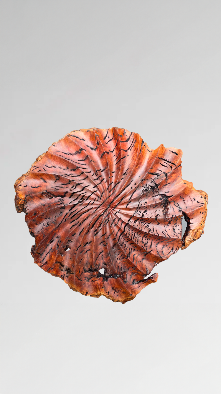 Vyaaghra, a carved Goldfields burl with dark tiger-like striations