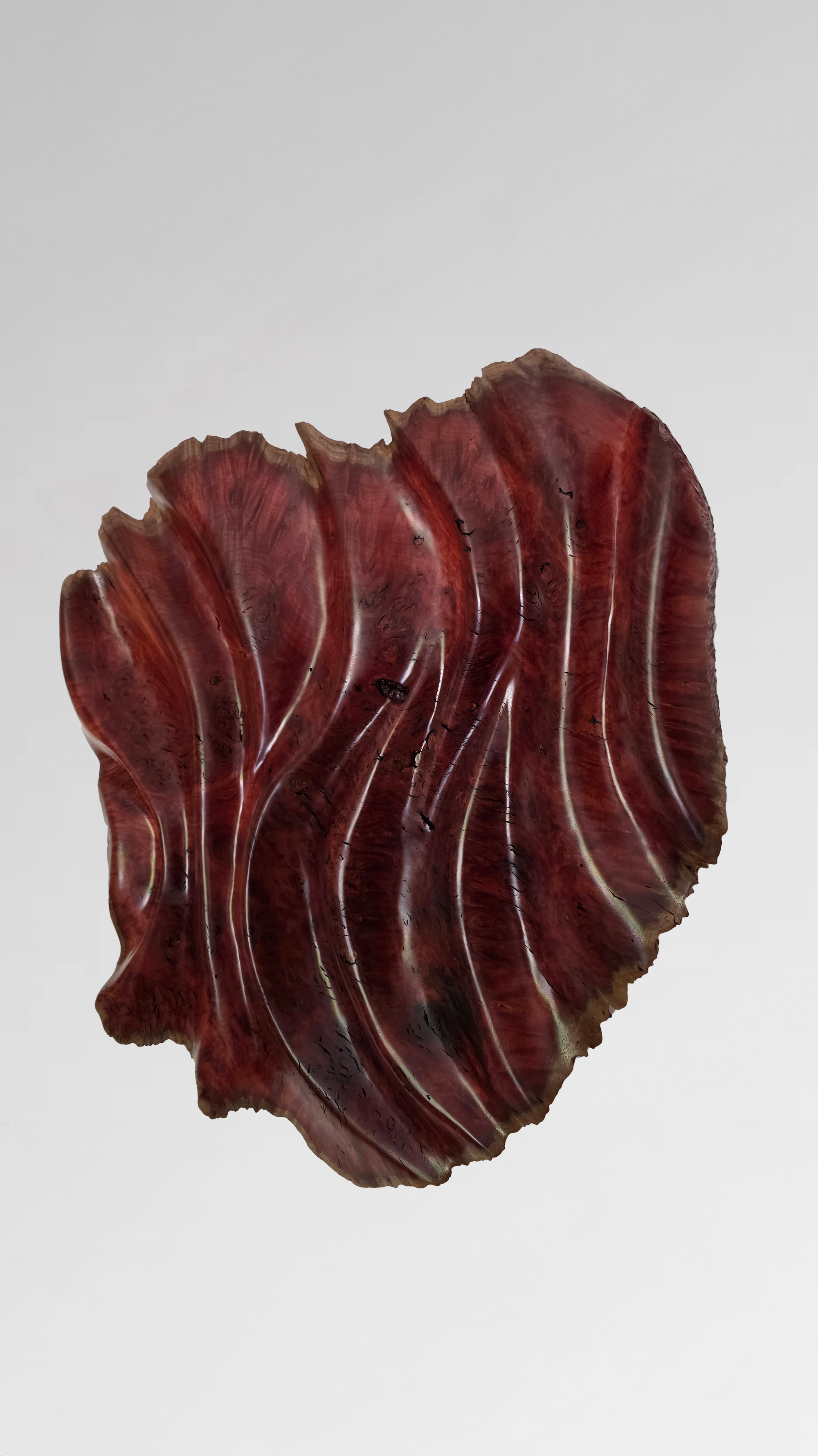 Kantju – Australian jarrah burl sculpture by Pav Patel, detail