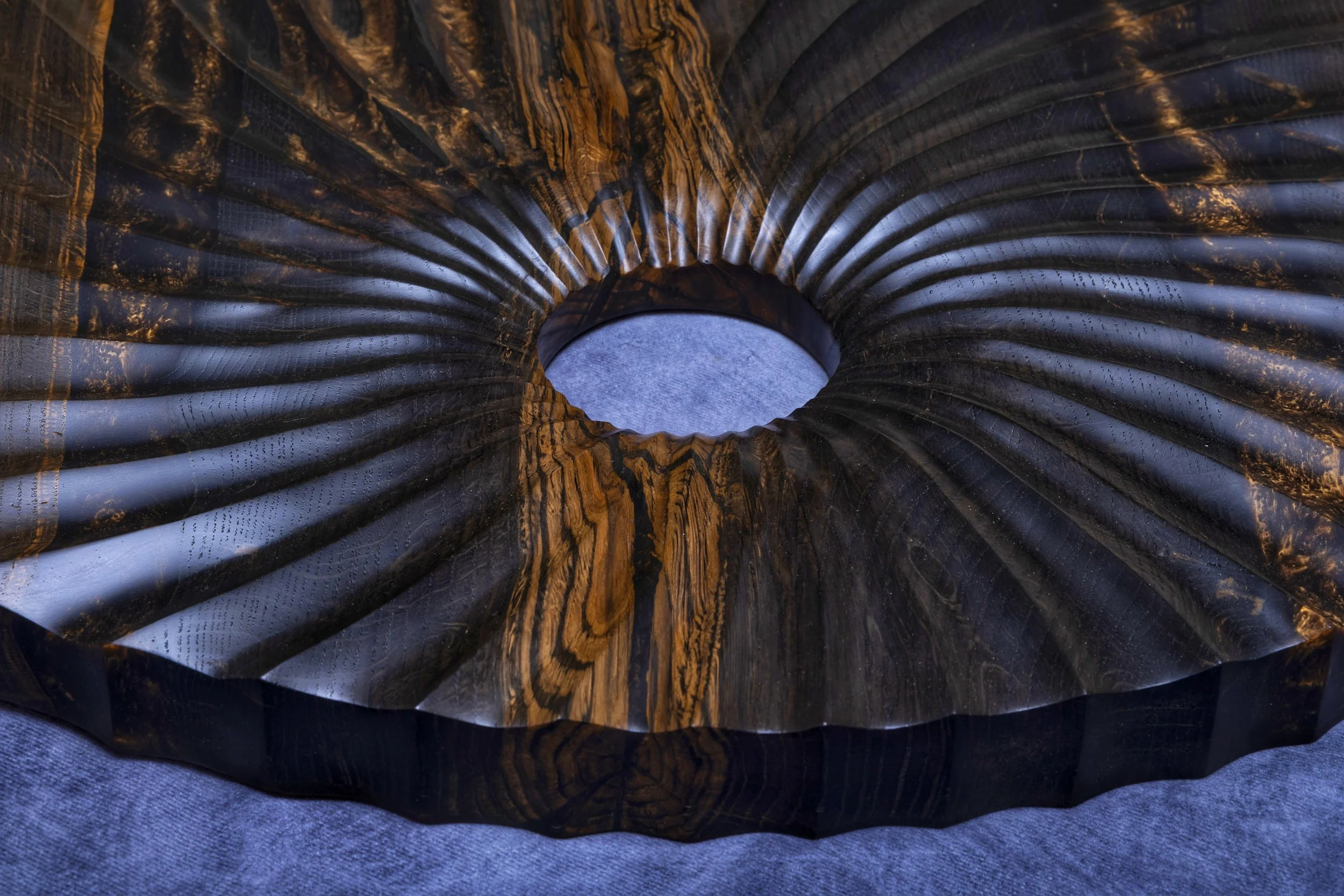 Eye of the Tiger - Detail