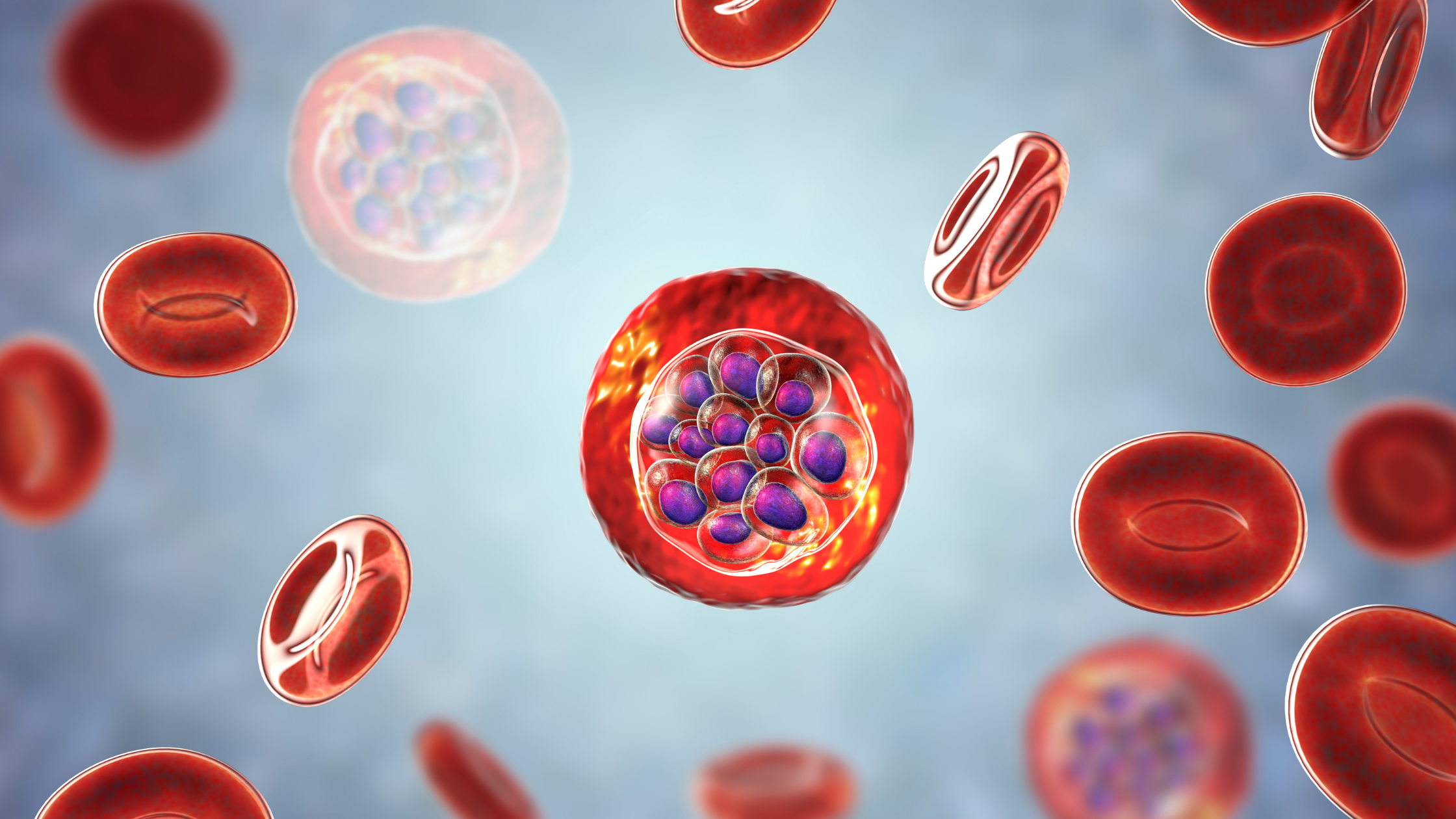 Bioglutide NA-931 Capsules Blood sugar metabolism | Shaanxi BLOOM Tech Co., Ltd Bioglutide NA-931 Capsules Blood sugar metabolism | Shaanxi BLOOM Tech Co., Ltd