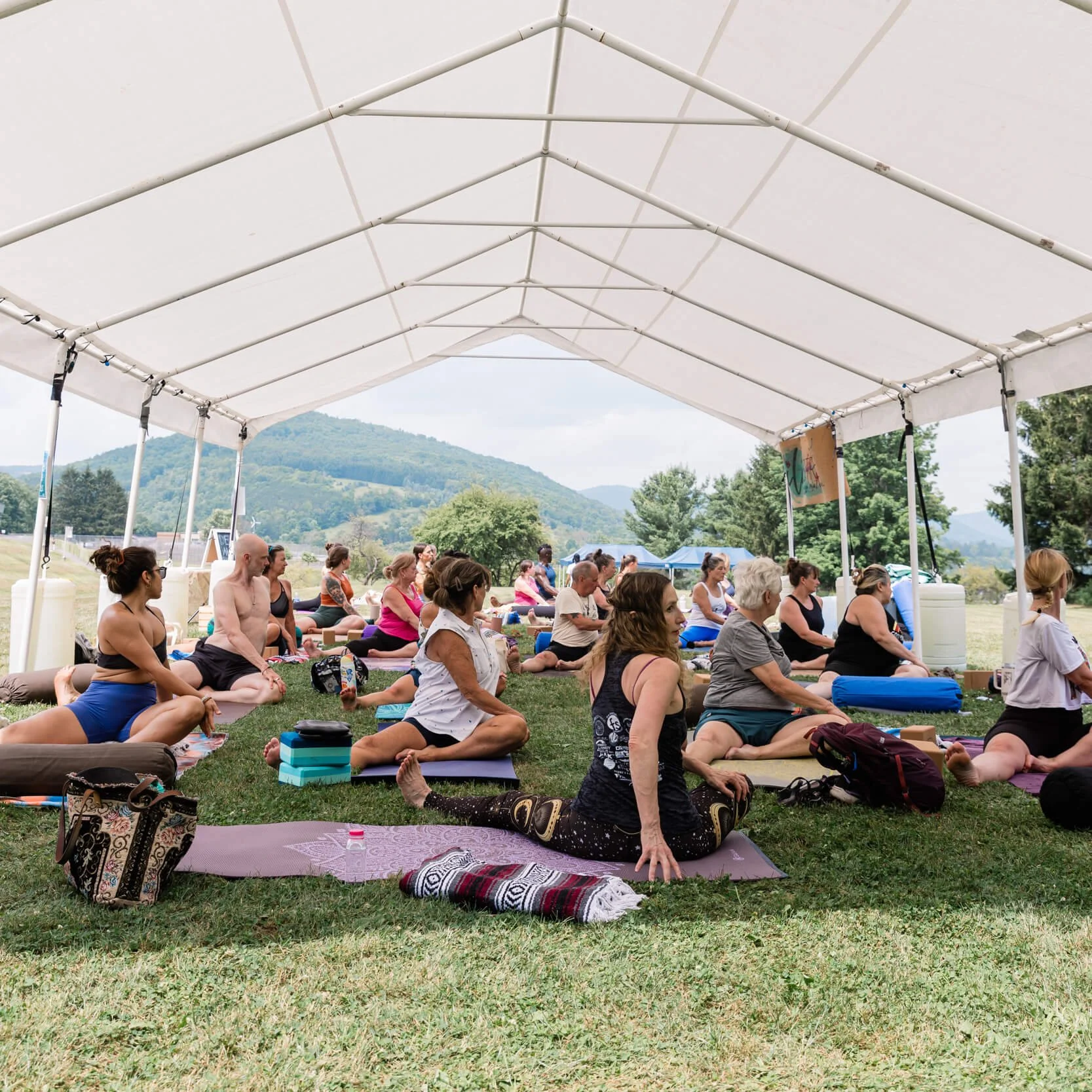 What’s new for the 2026 Festival