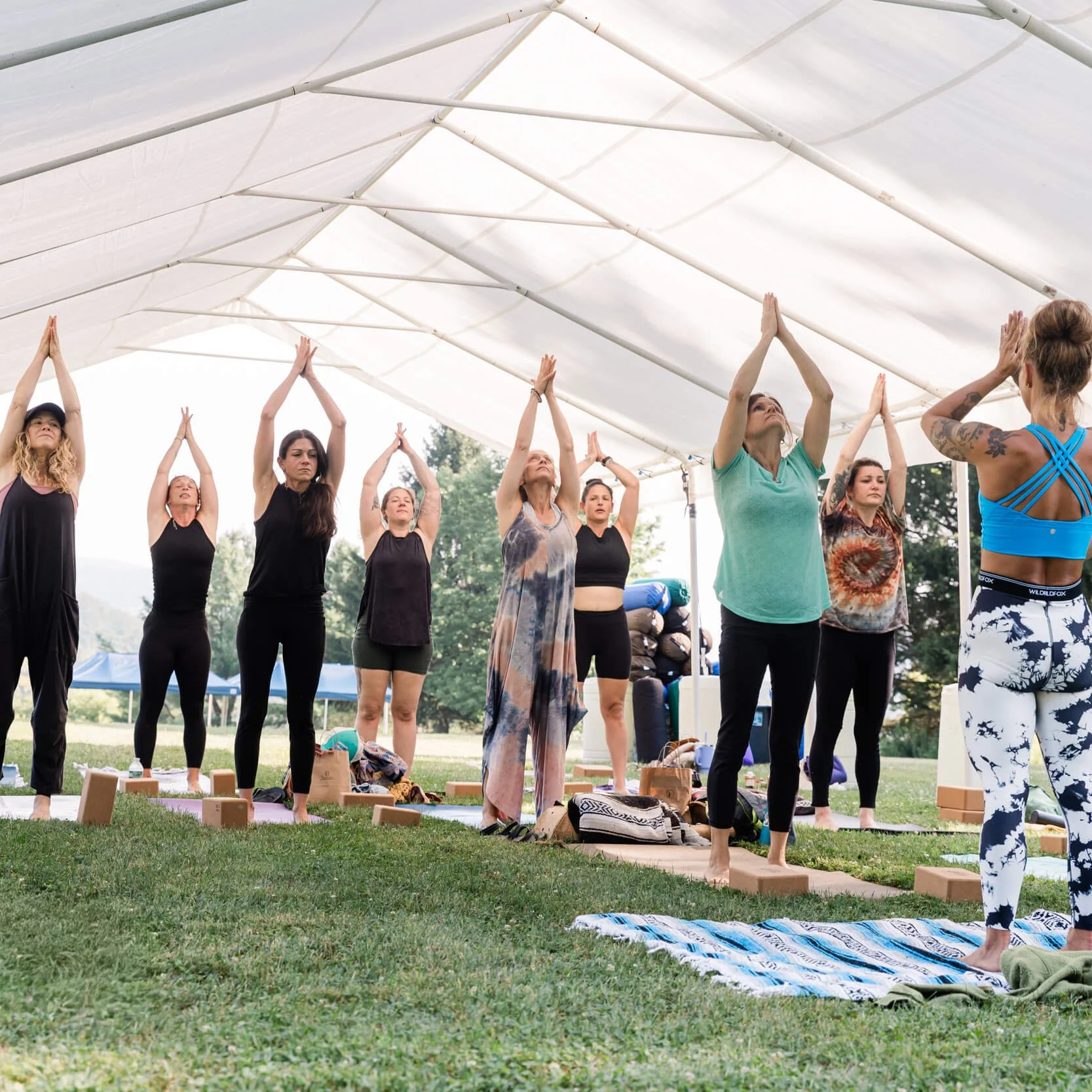 A group of people stand facing a yoga instructor. They are practicing yoga under a white tent. Foliage can be seen behind them.