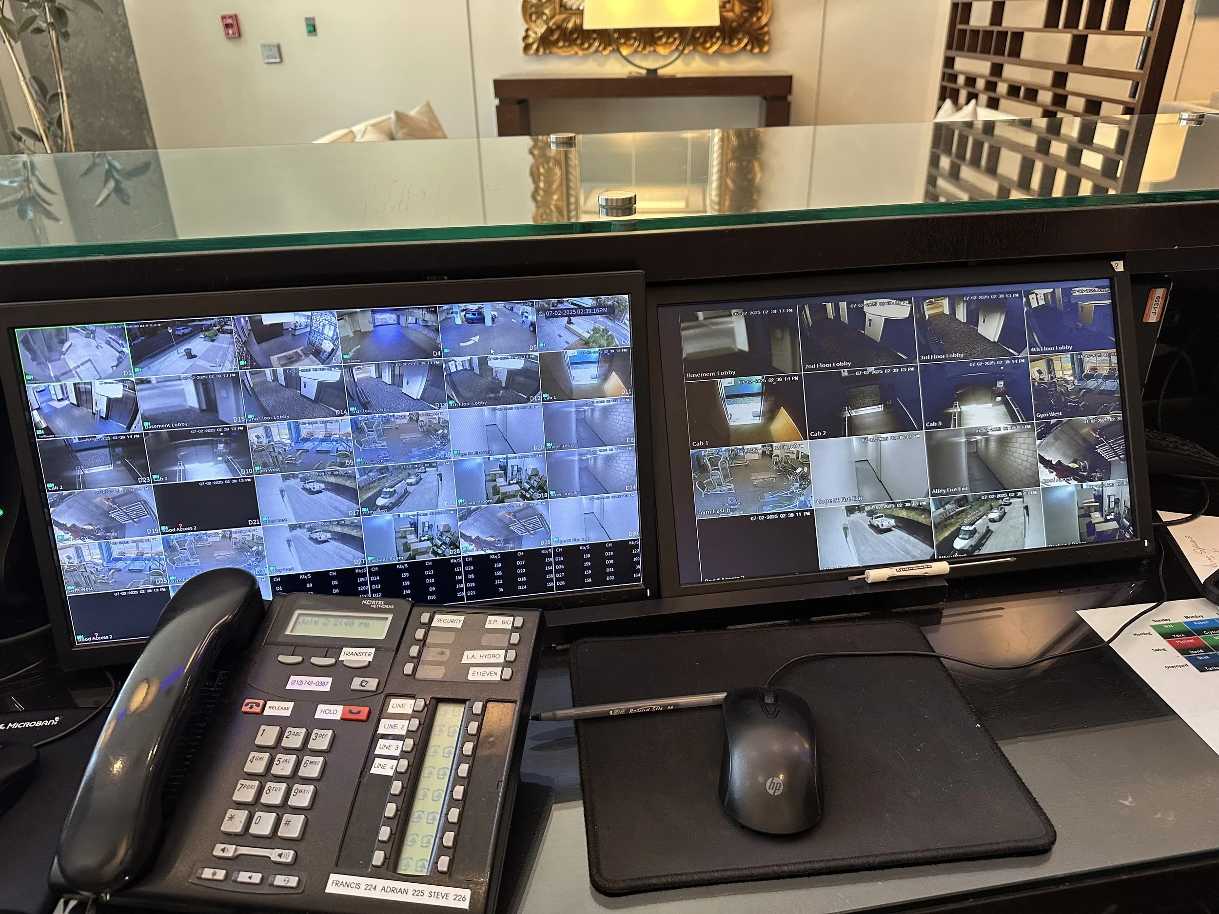 The Lynx Initiative: Enhancing Neighborhood Safety