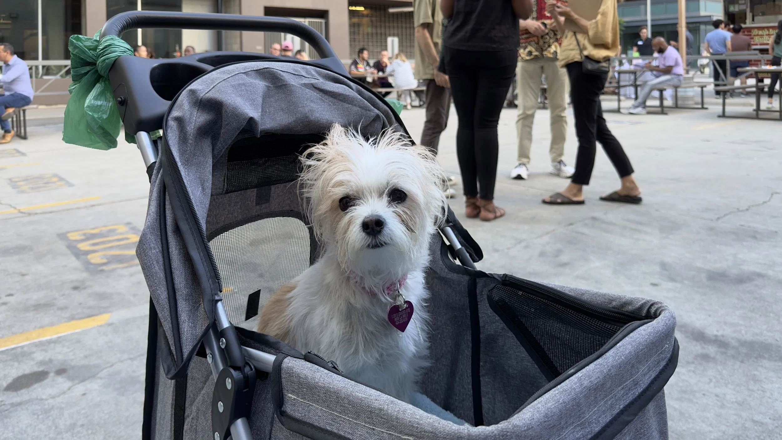 Neighbors and Summer Skies: SPNA’s 4th Neighborhood Night Out