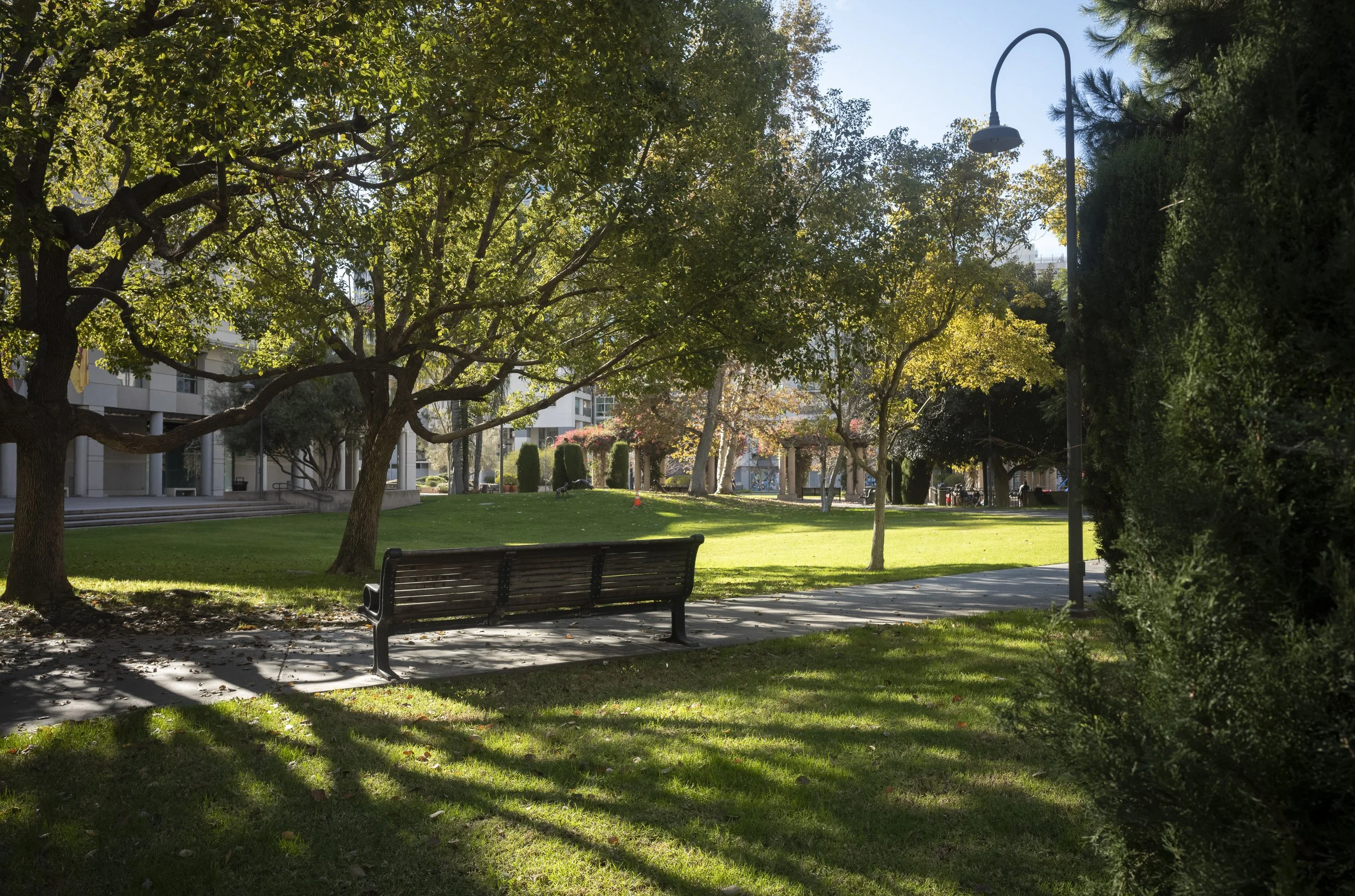 Storytelling in the Park                                                                              at Grand Hope Park