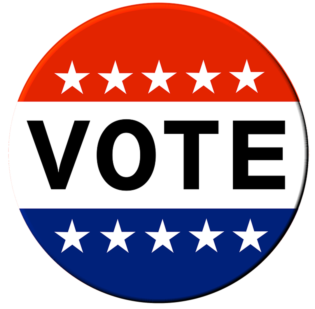 Voting for LA Mayor,                                       14 Candidates Running