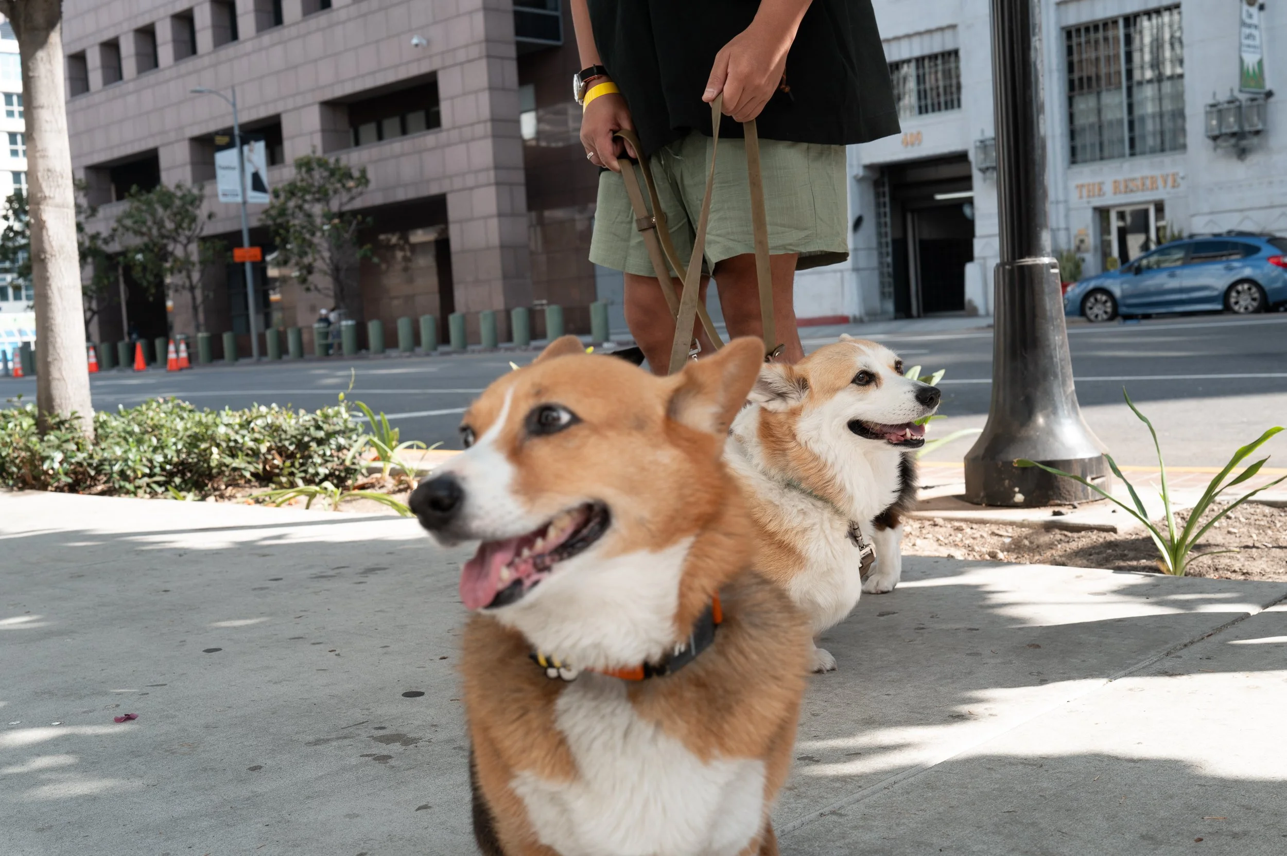 Untitled-13.jpg