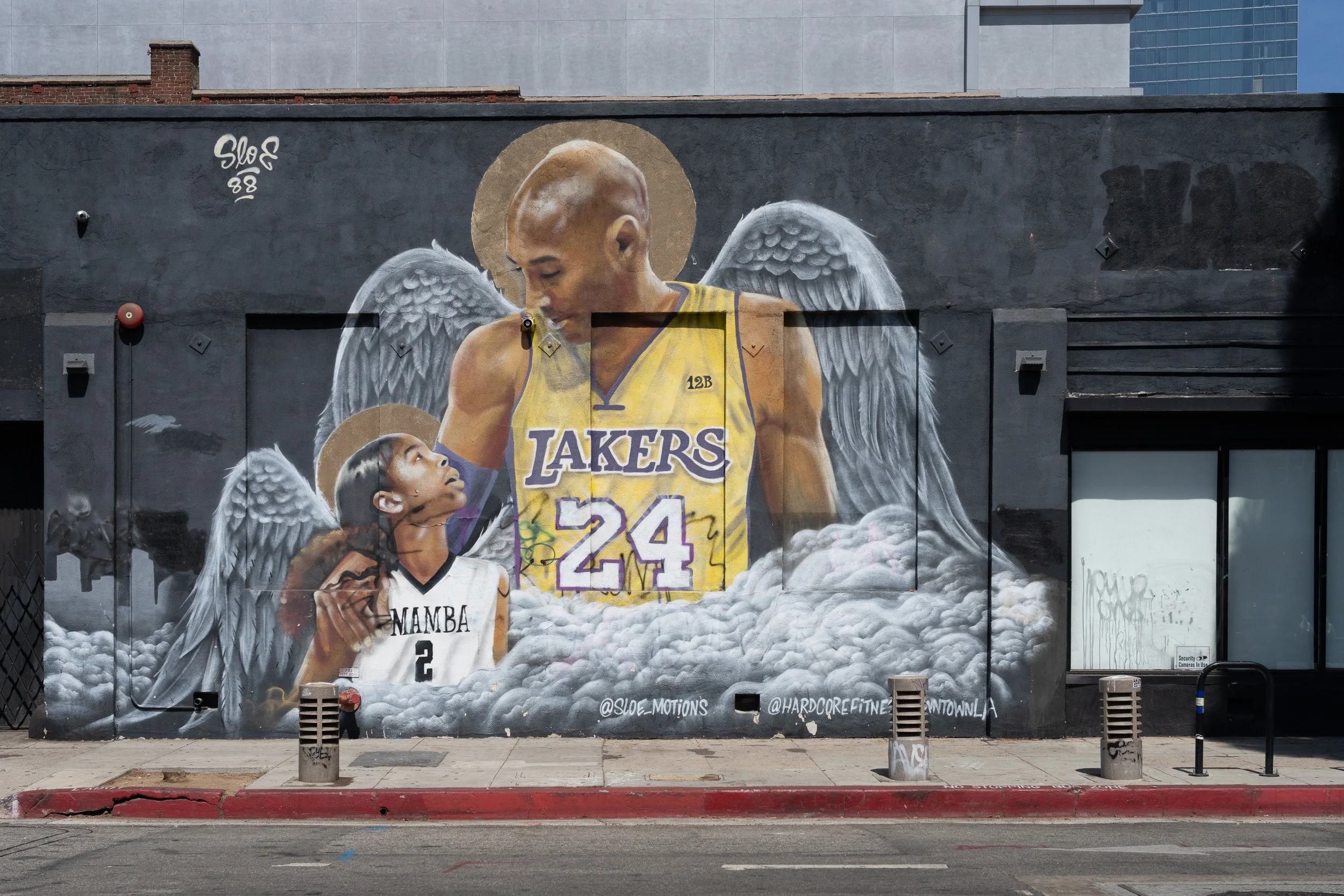Mamba Murals