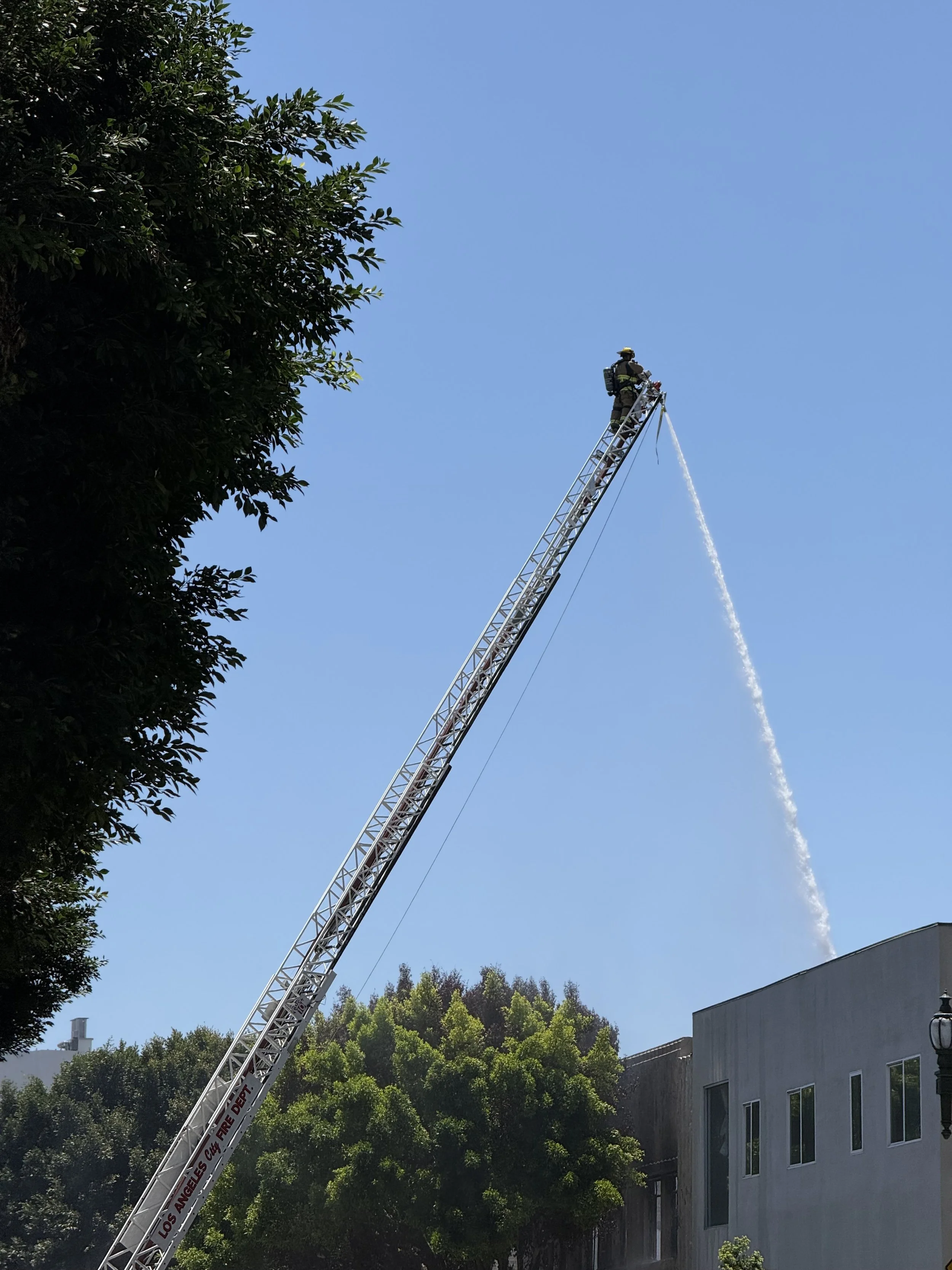 Fire, Another Fire, More Fires,                         Life on Hope Street in South Park