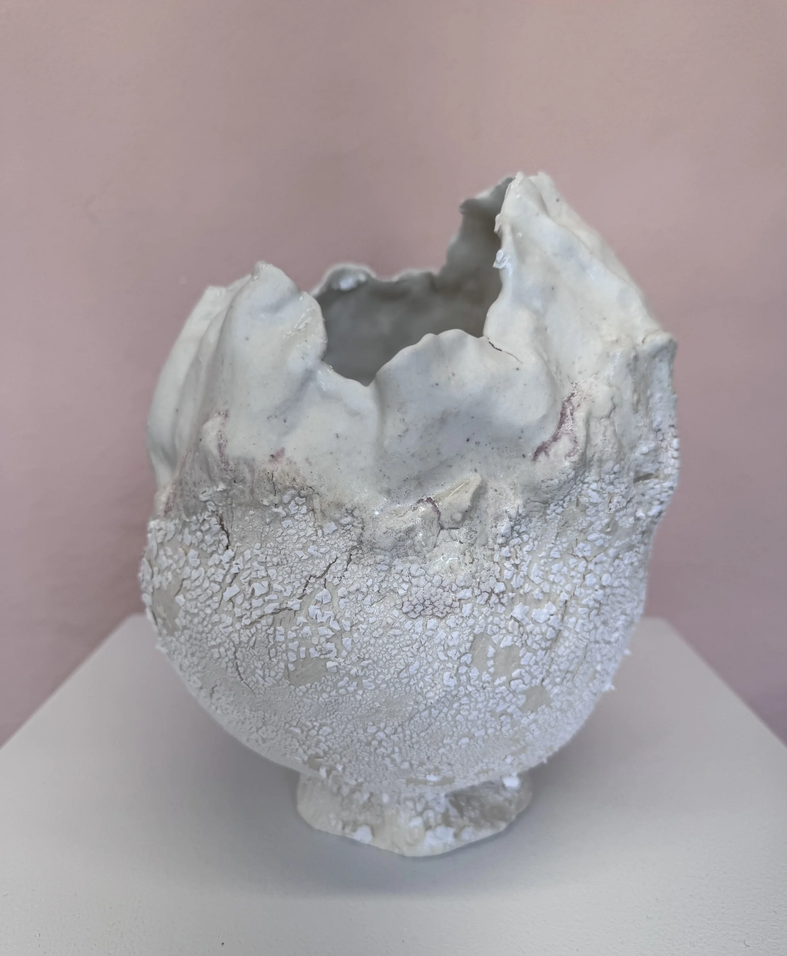 Dino- 
Porcelain Paper Clay 
12"Hx8"W