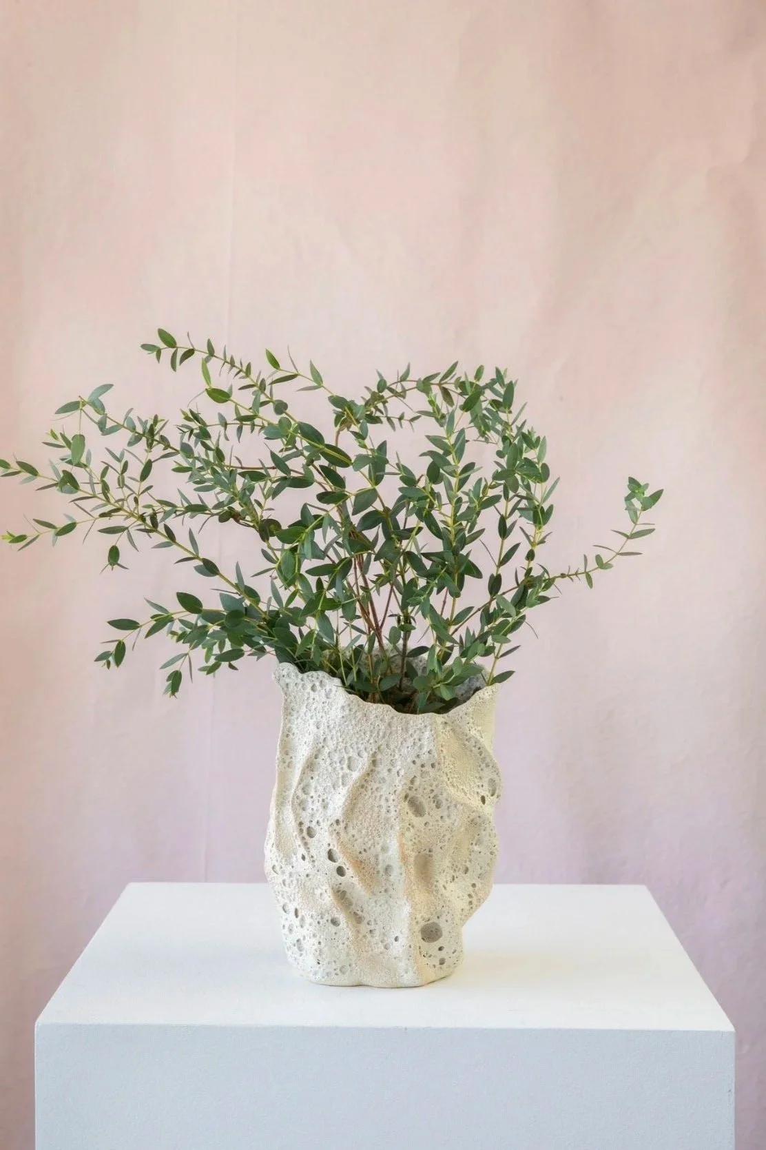 Vein Vessel-
Porcelain Paper Clay
8"Hx3"W