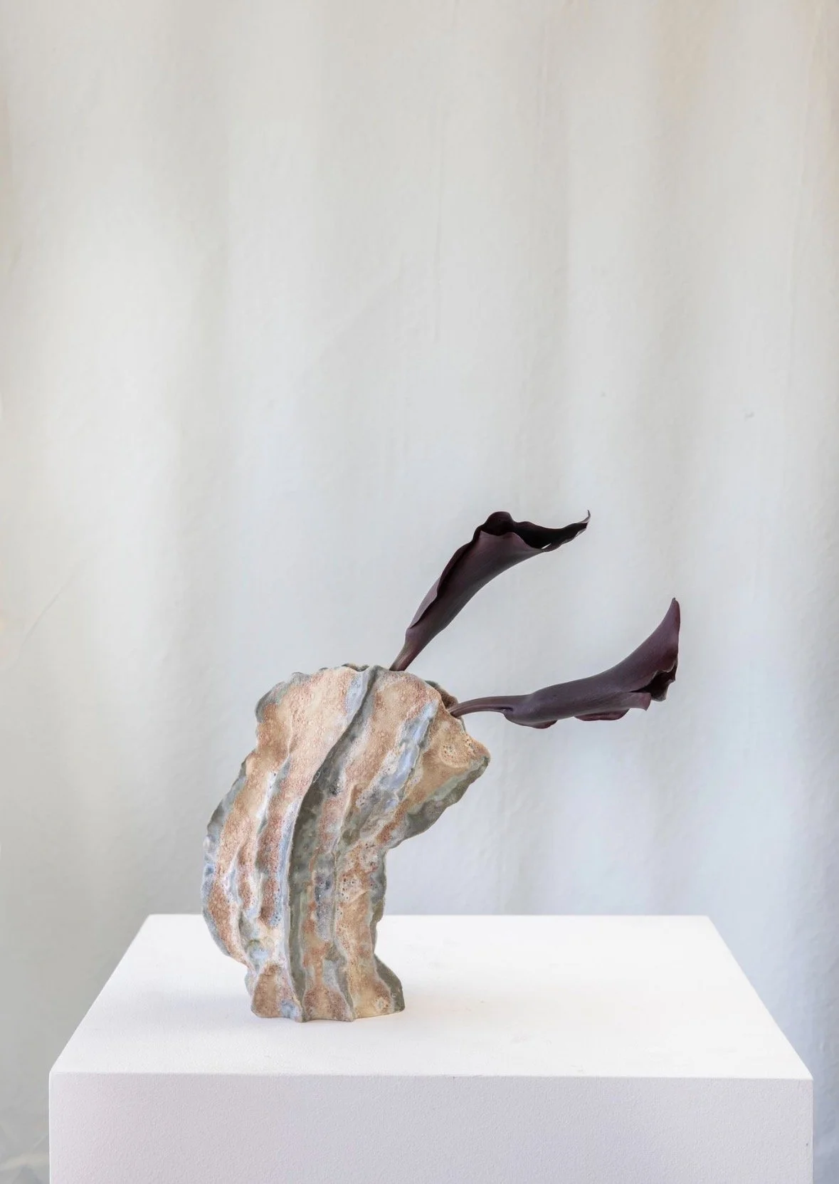 Dino Curve-
Stoneware
7"Hx3"W