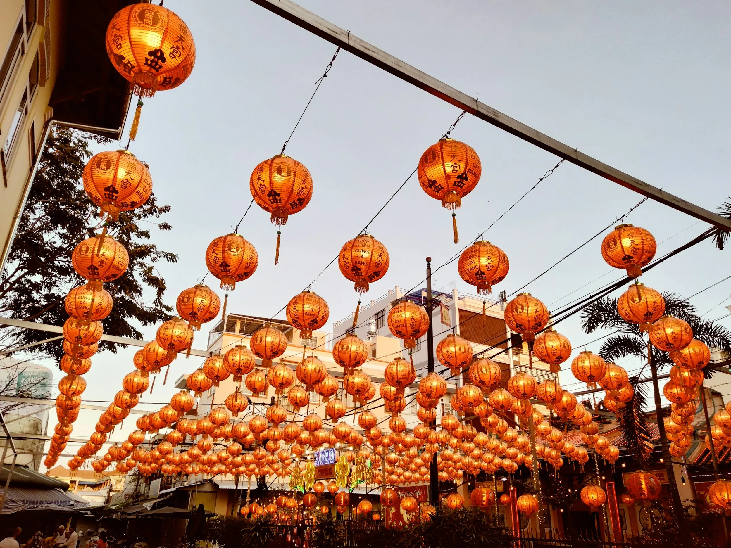 From Snake Wisdom to Horse Heart: Welcoming the Lunar New Year of the Horse 馬🐎
